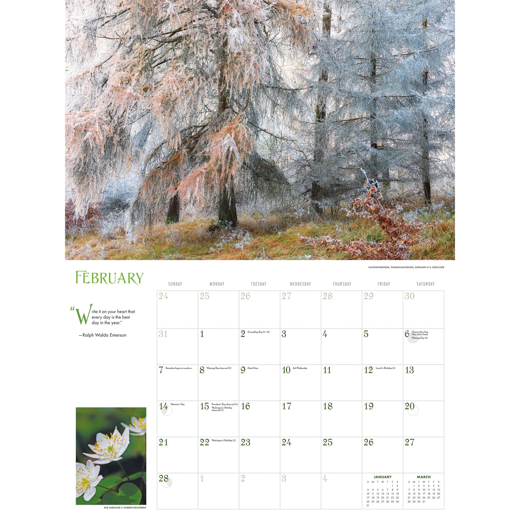 Into the Woods 2027 Wall Calendar