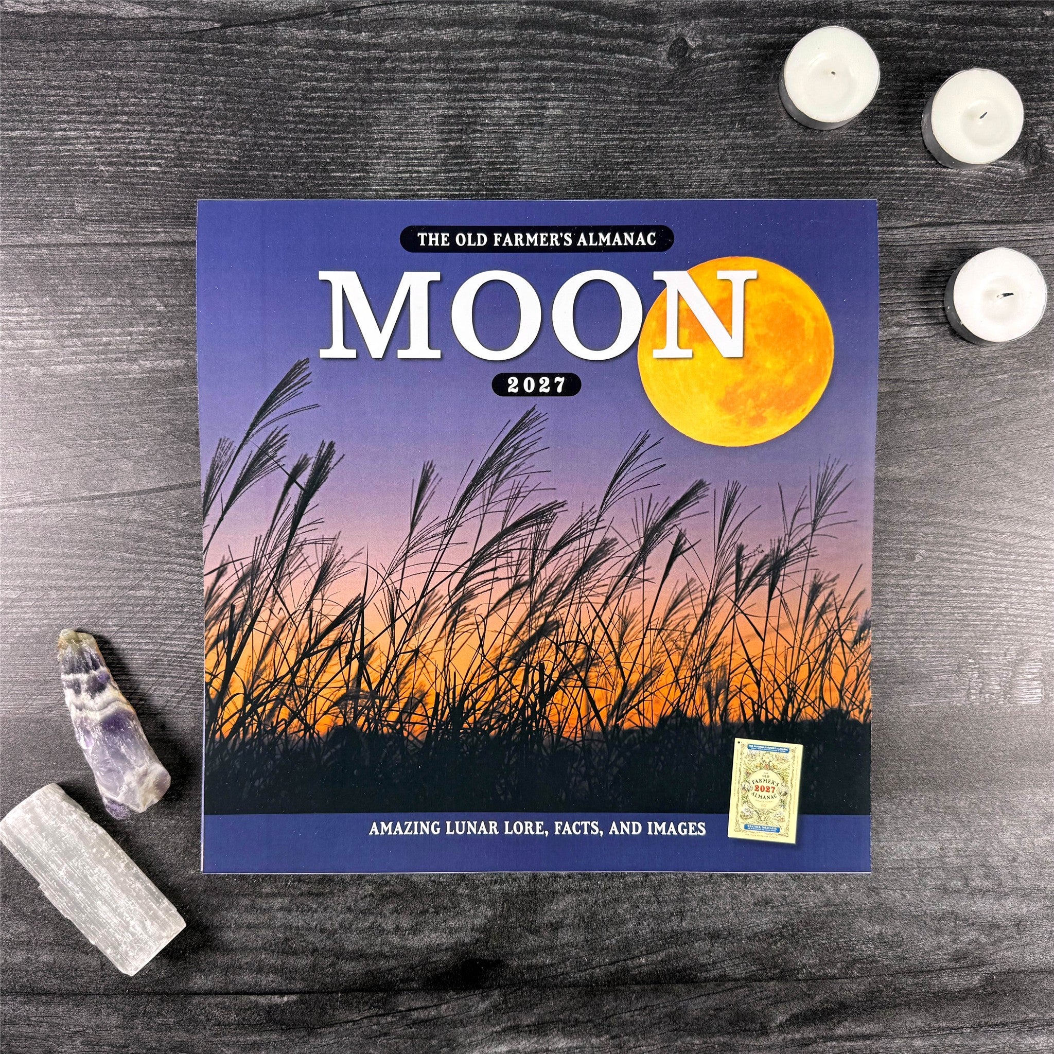 The Old Farmer's Almanac Moon 2027 Wall Calendar