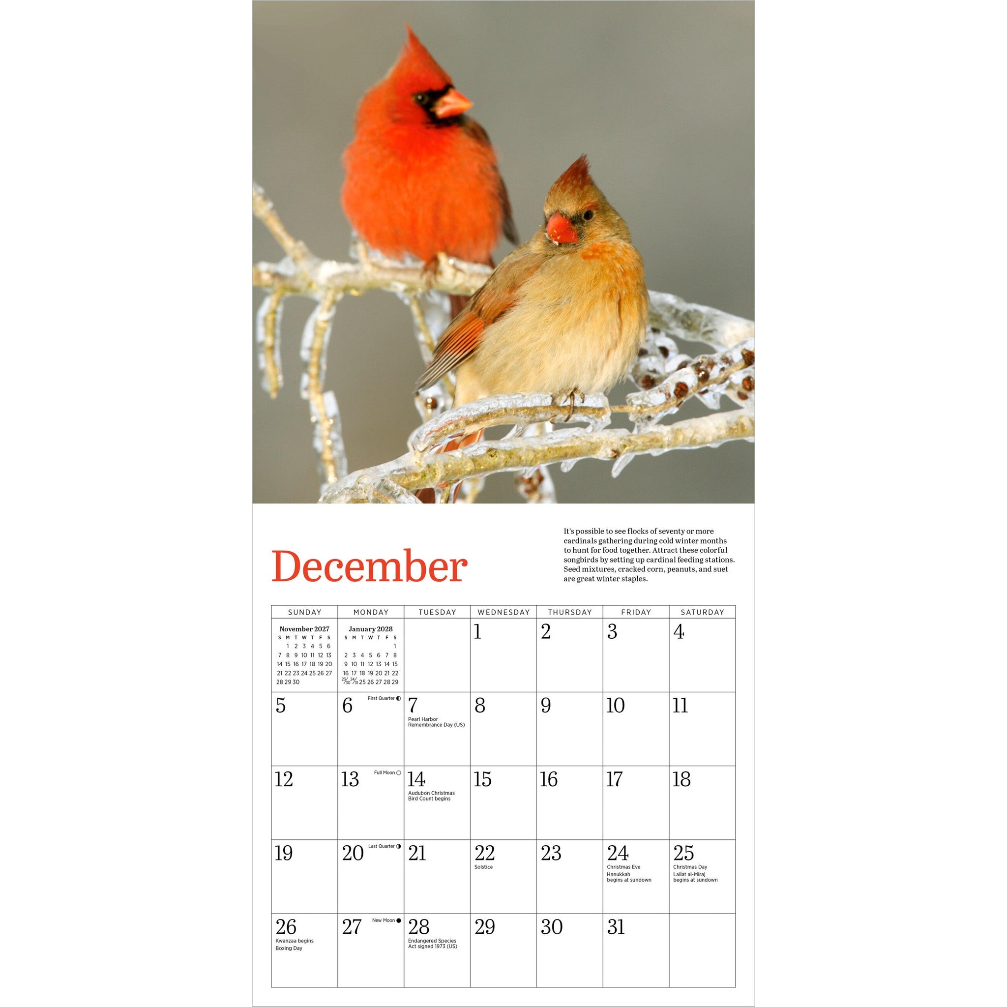 Audubon Cardinals 2027 Mini Calendar - Online Only