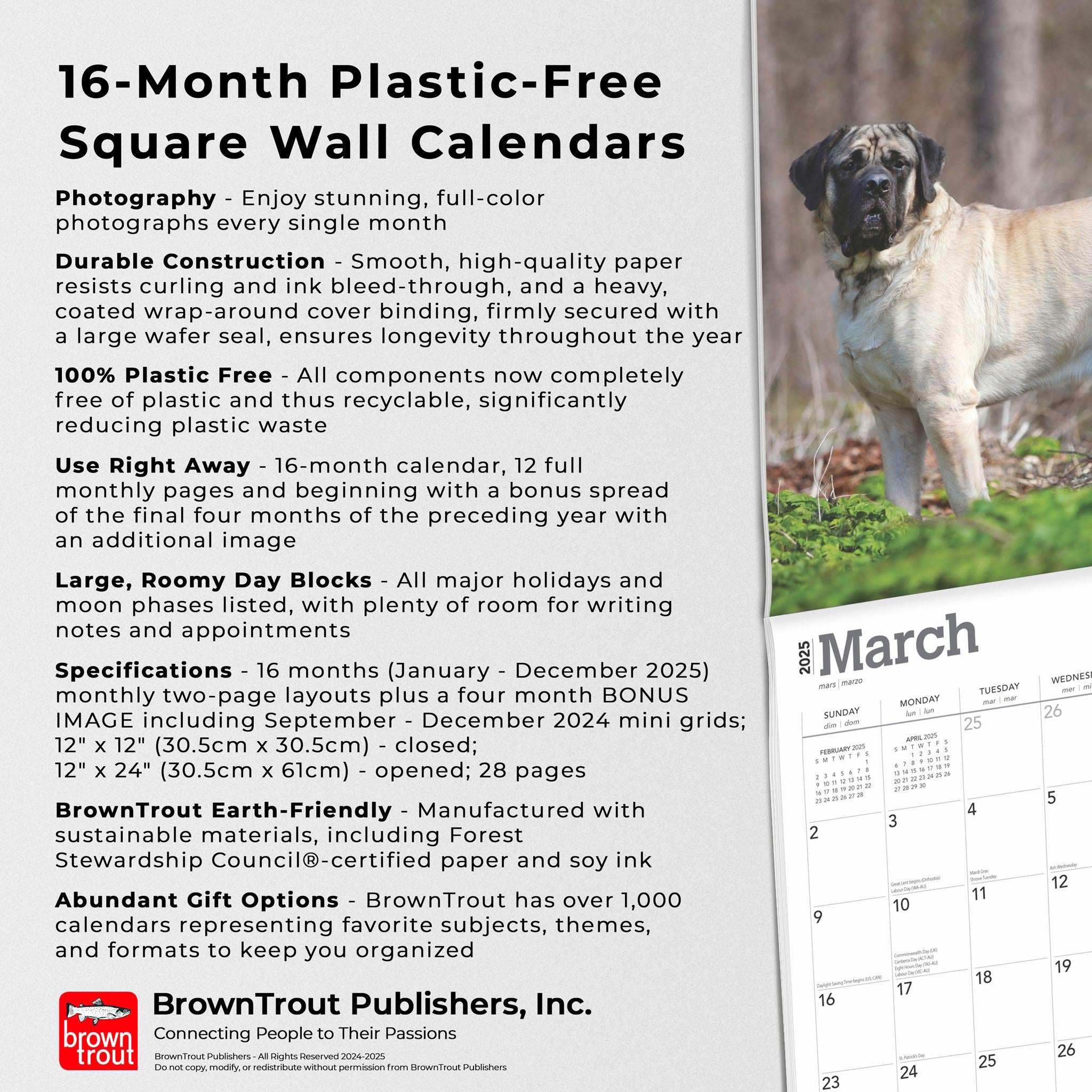 Mastiffs Wall 2025 Calendar
