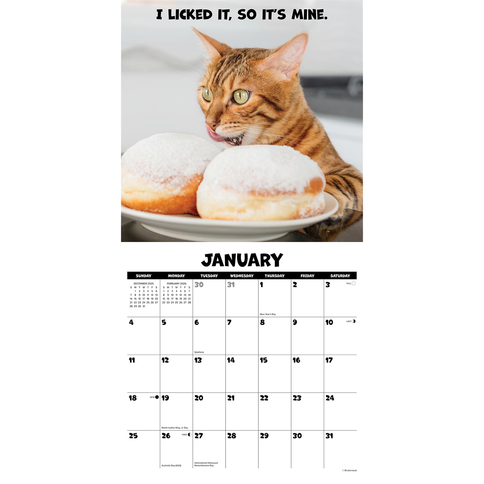 Cat Chat 2026 Wall Calendar - Online Only