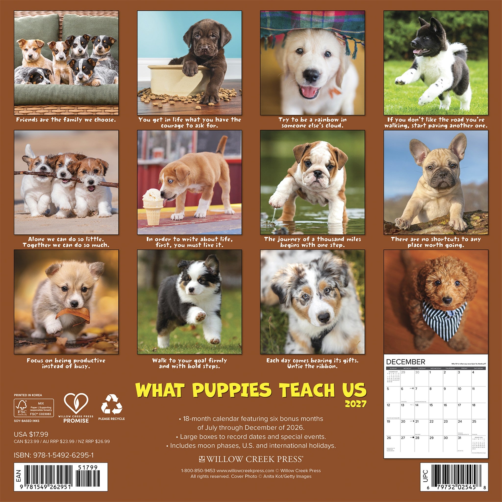What Puppies Teach Us 2027 Wall Calendar