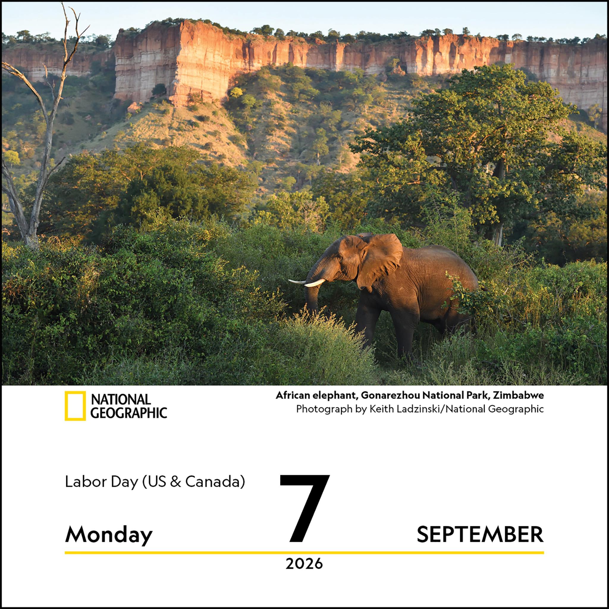 National Geographic Nature 2026 Box Calendar - Online Only