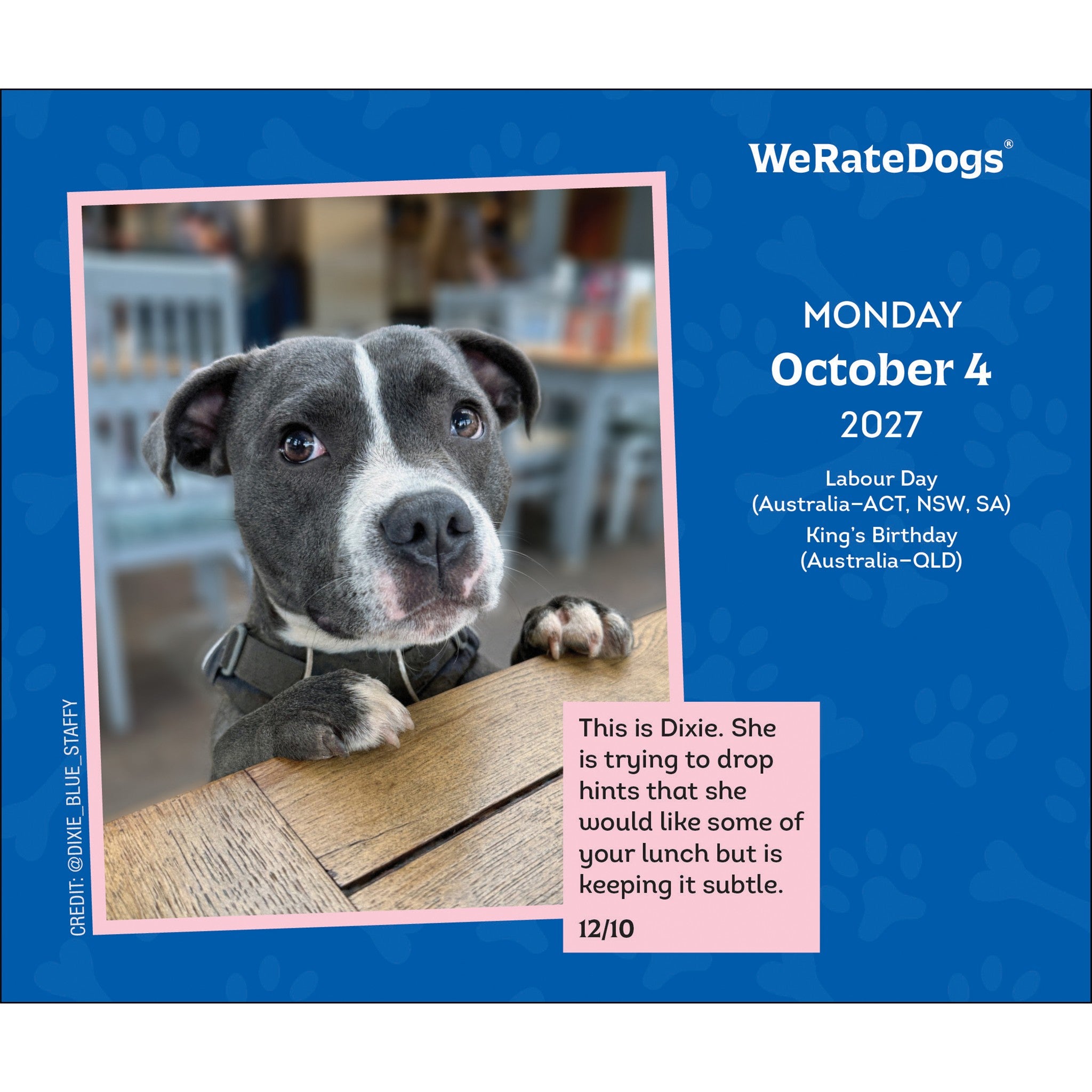 WeRateDogs 2027 Box Calendar