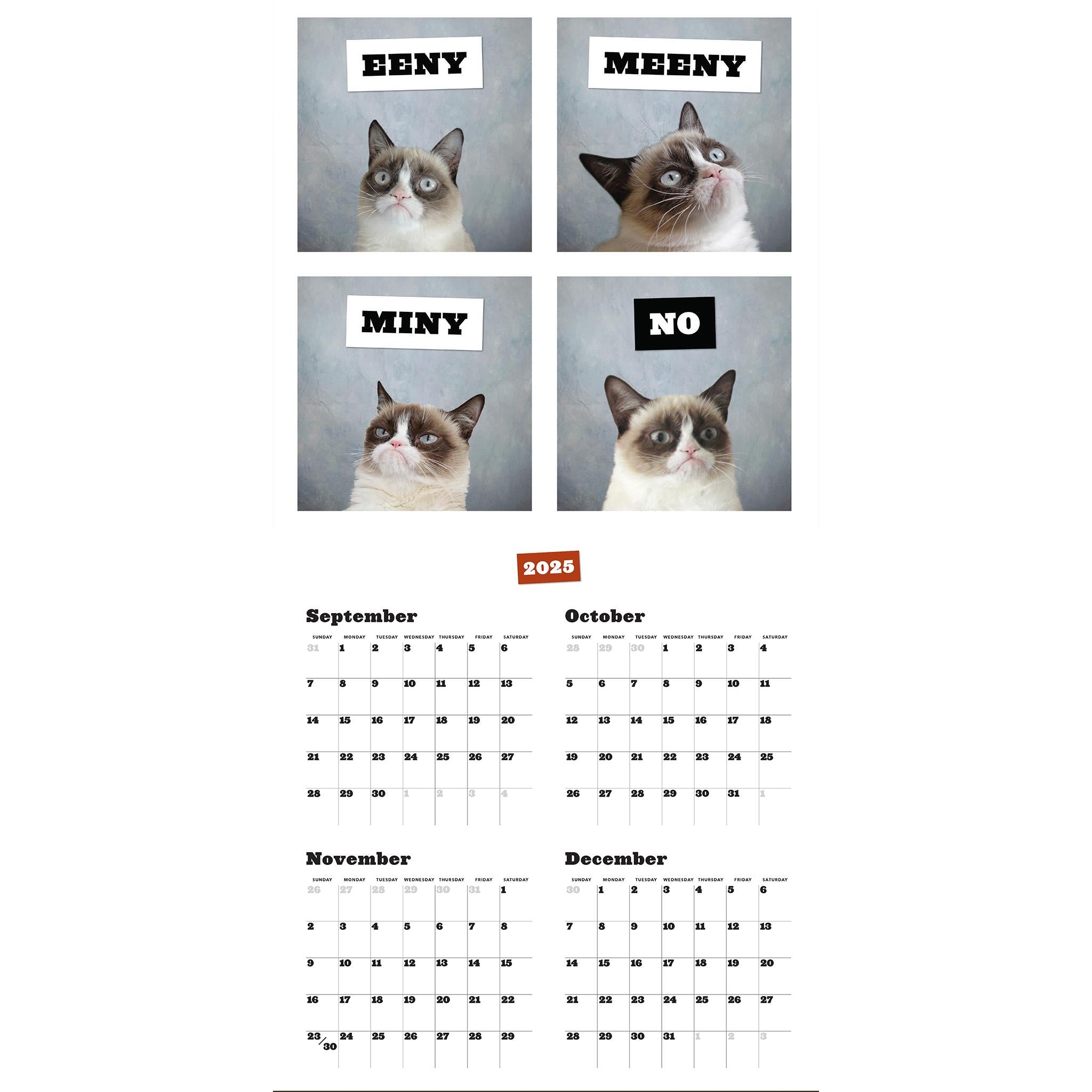 Grumpy Cat 2026 Wall Calendar