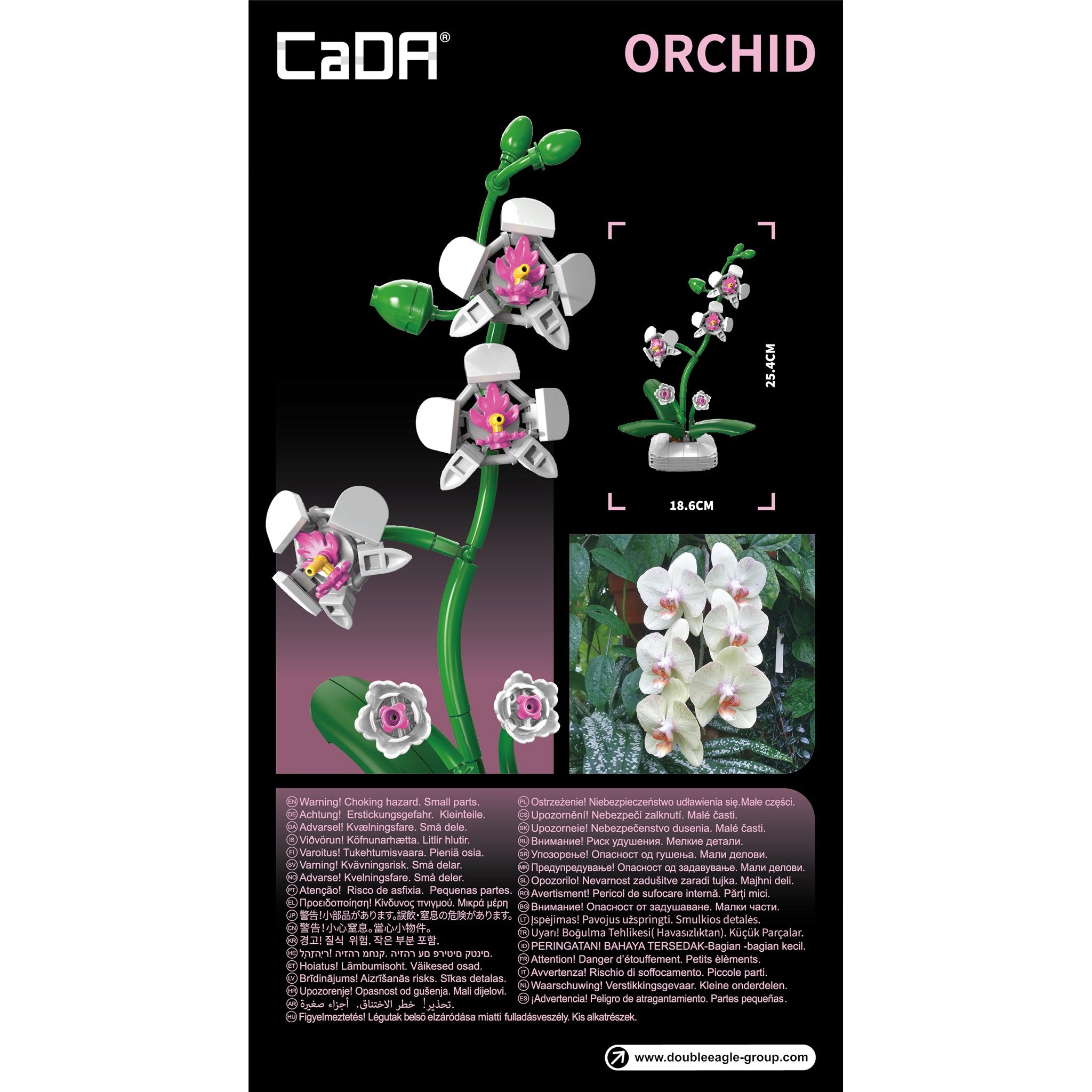 Orchid 237 Pieces