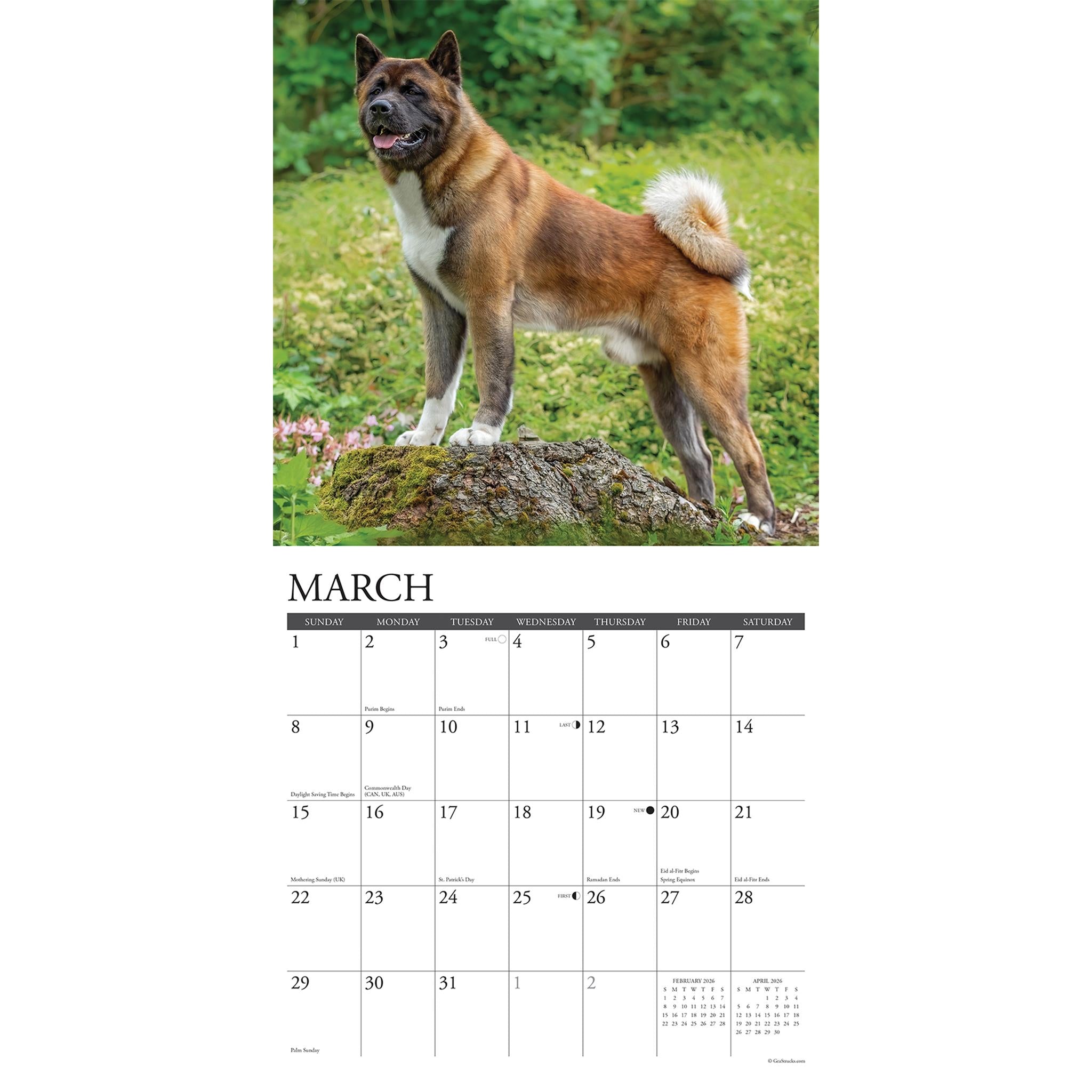 Just Akitas 2026 Wall Calendar - Online Only