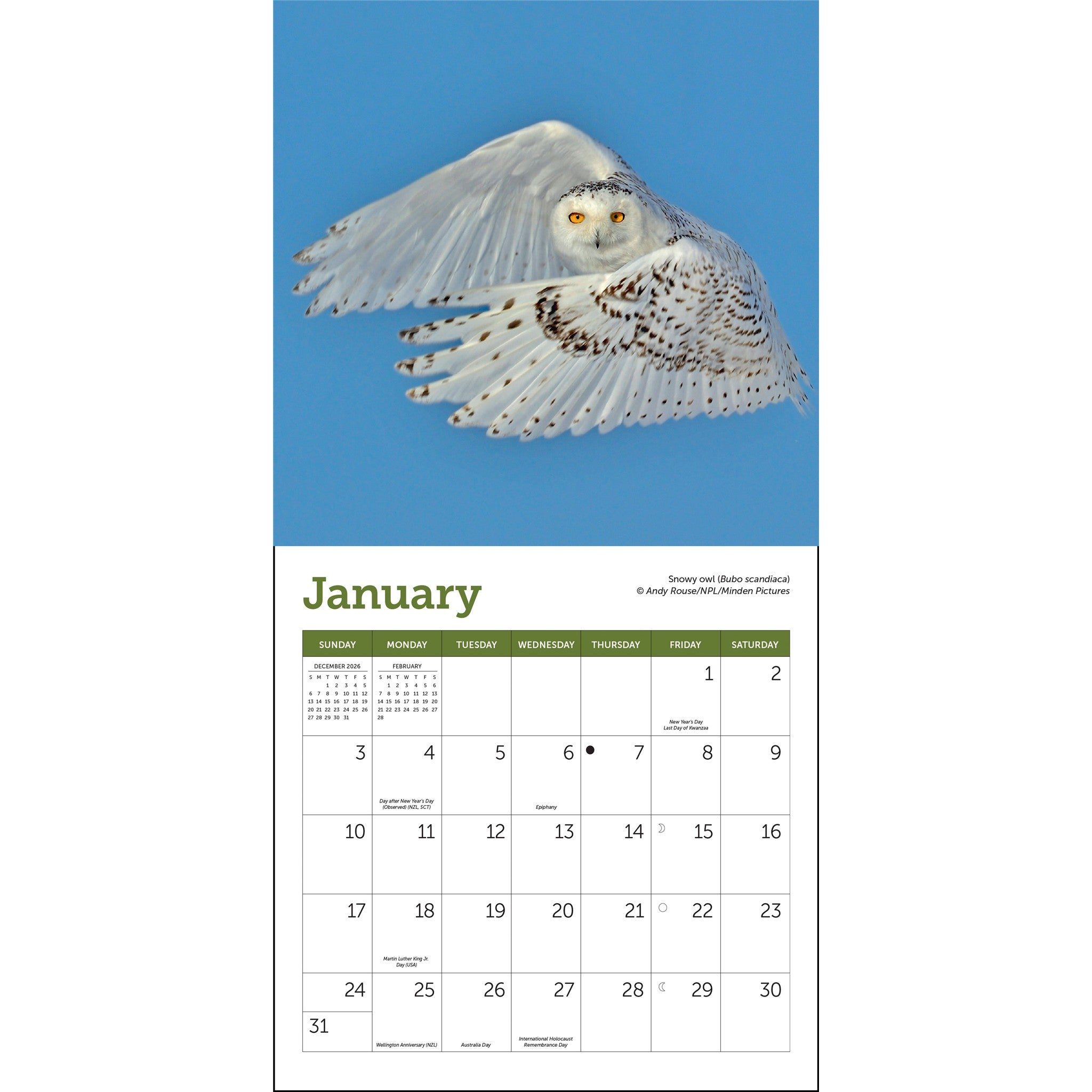 Owls 2027 Mini Calendar