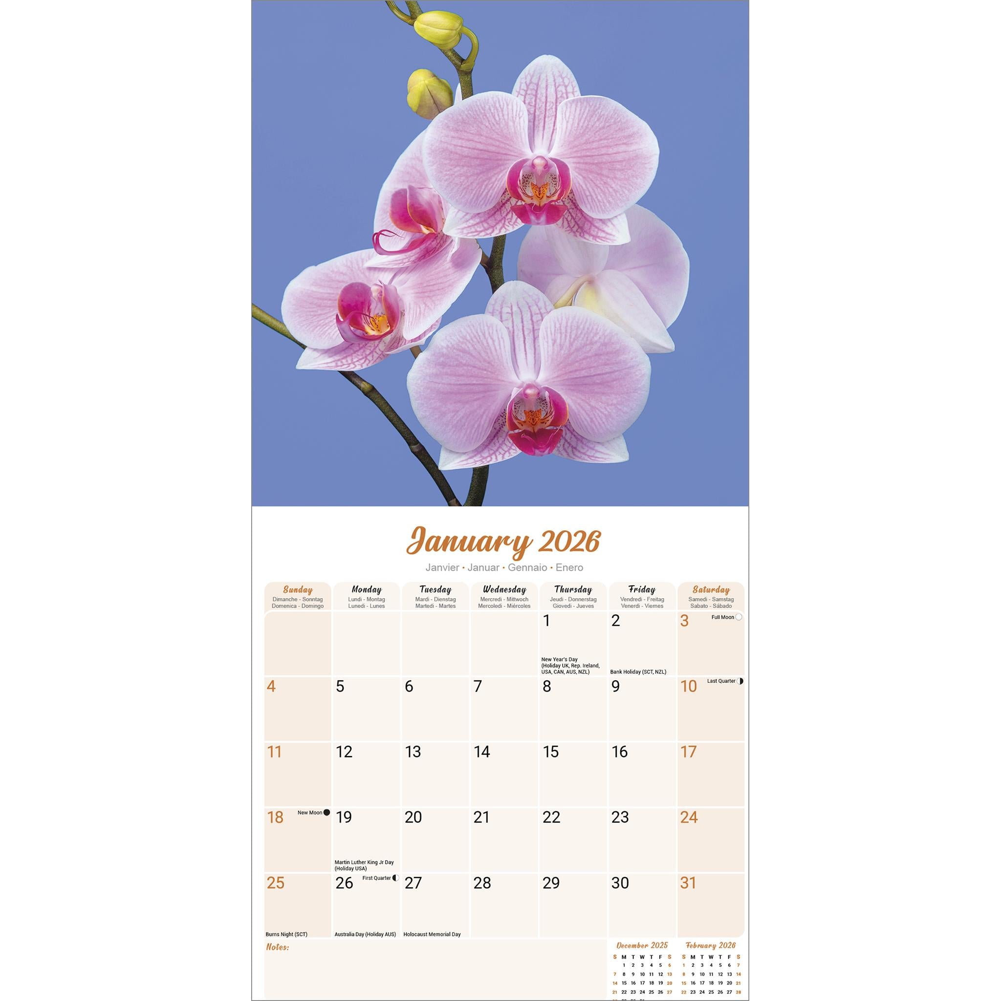Orchids 2026 Wall Calendar