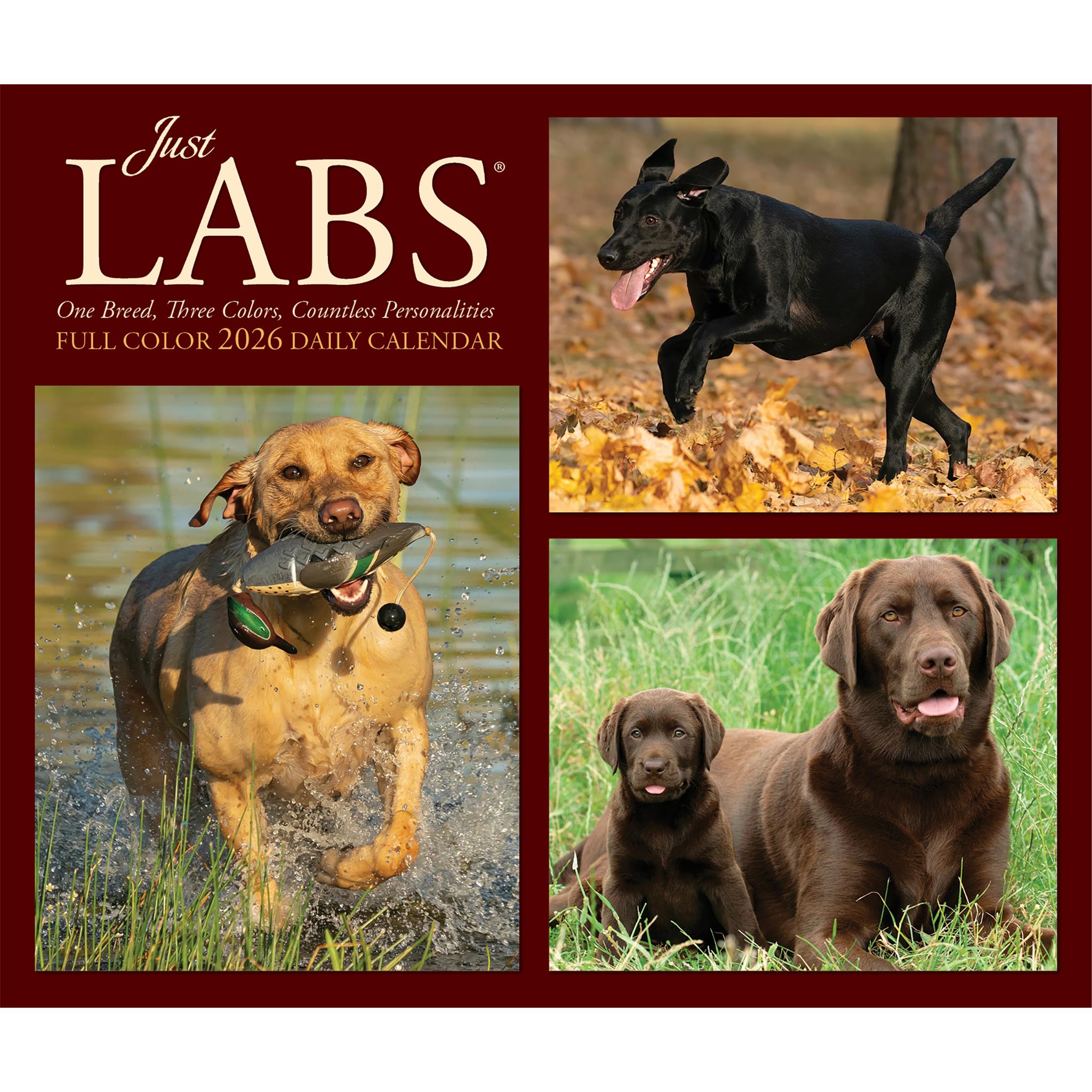 Just Labs 2026 Box Calendar - Online Only