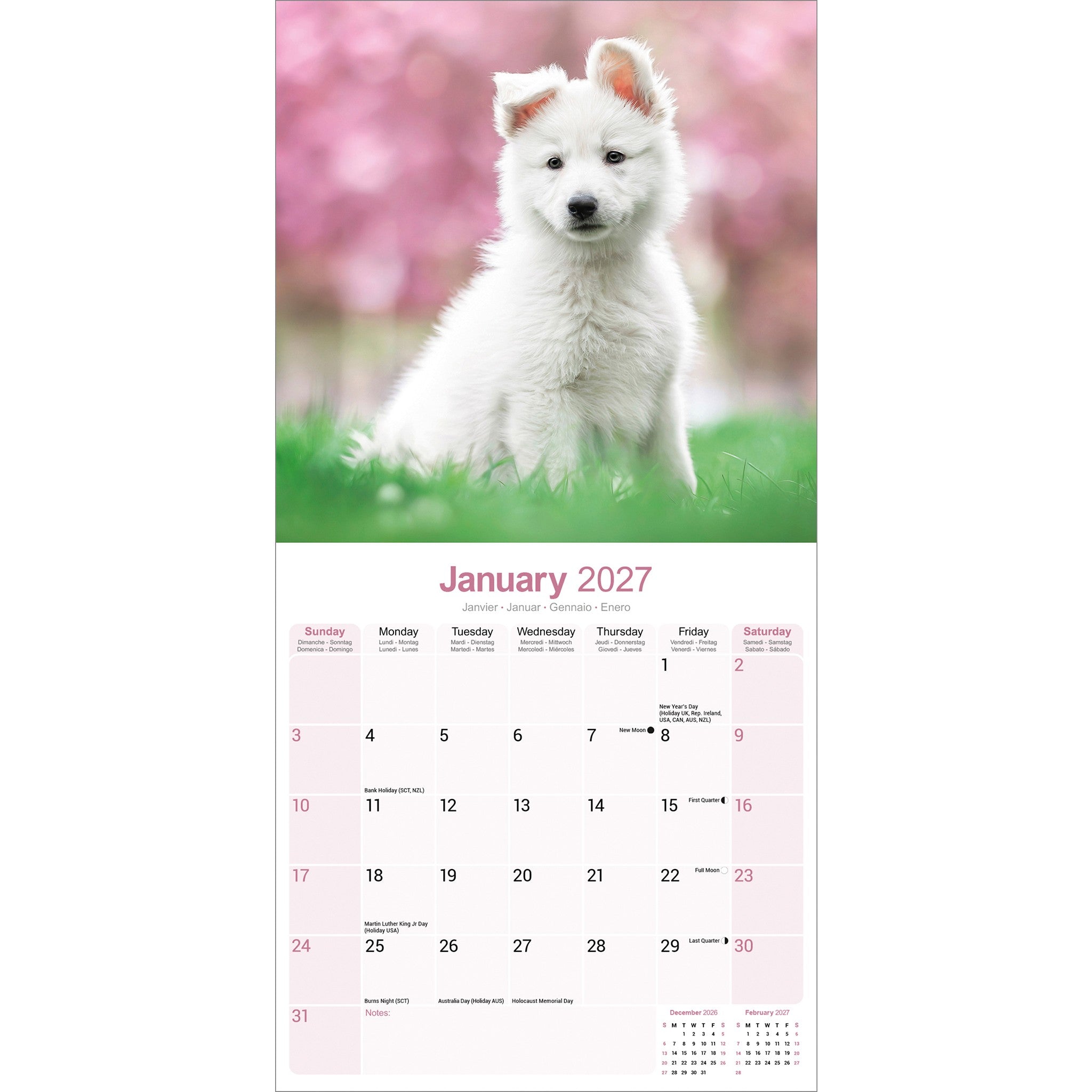 White Shepherd 2027 Wall Calendar - Online Only