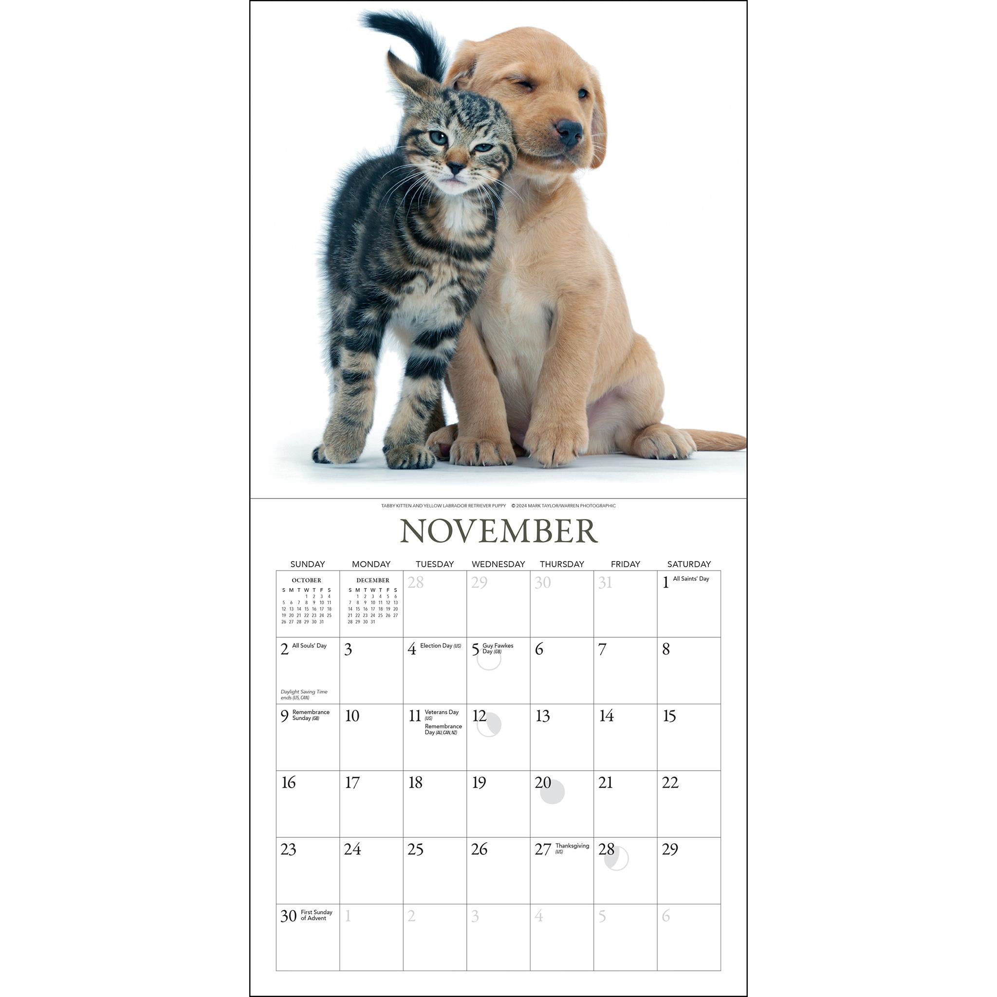 Kittens And Friends Mini 2025 Calendar