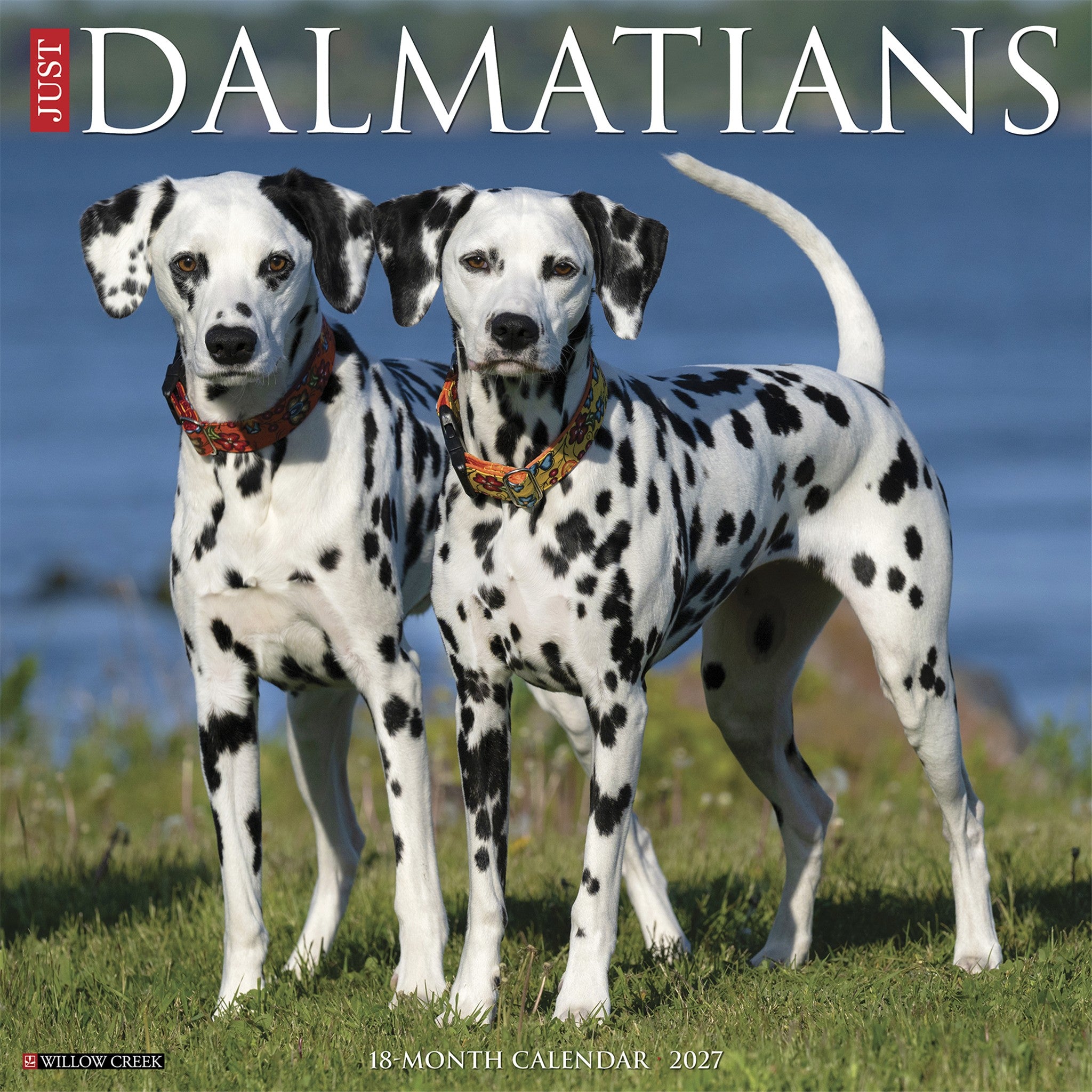 Dalmatians 2027 Wall Calendar