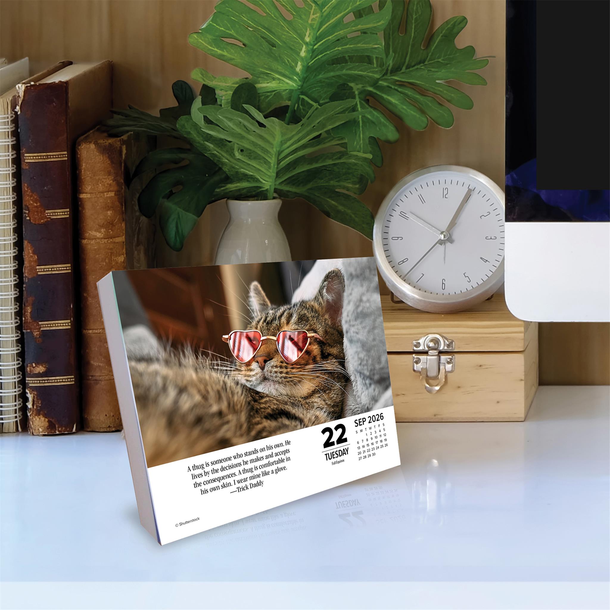 Bad Kitties 2026 Box Calendar - Online Only