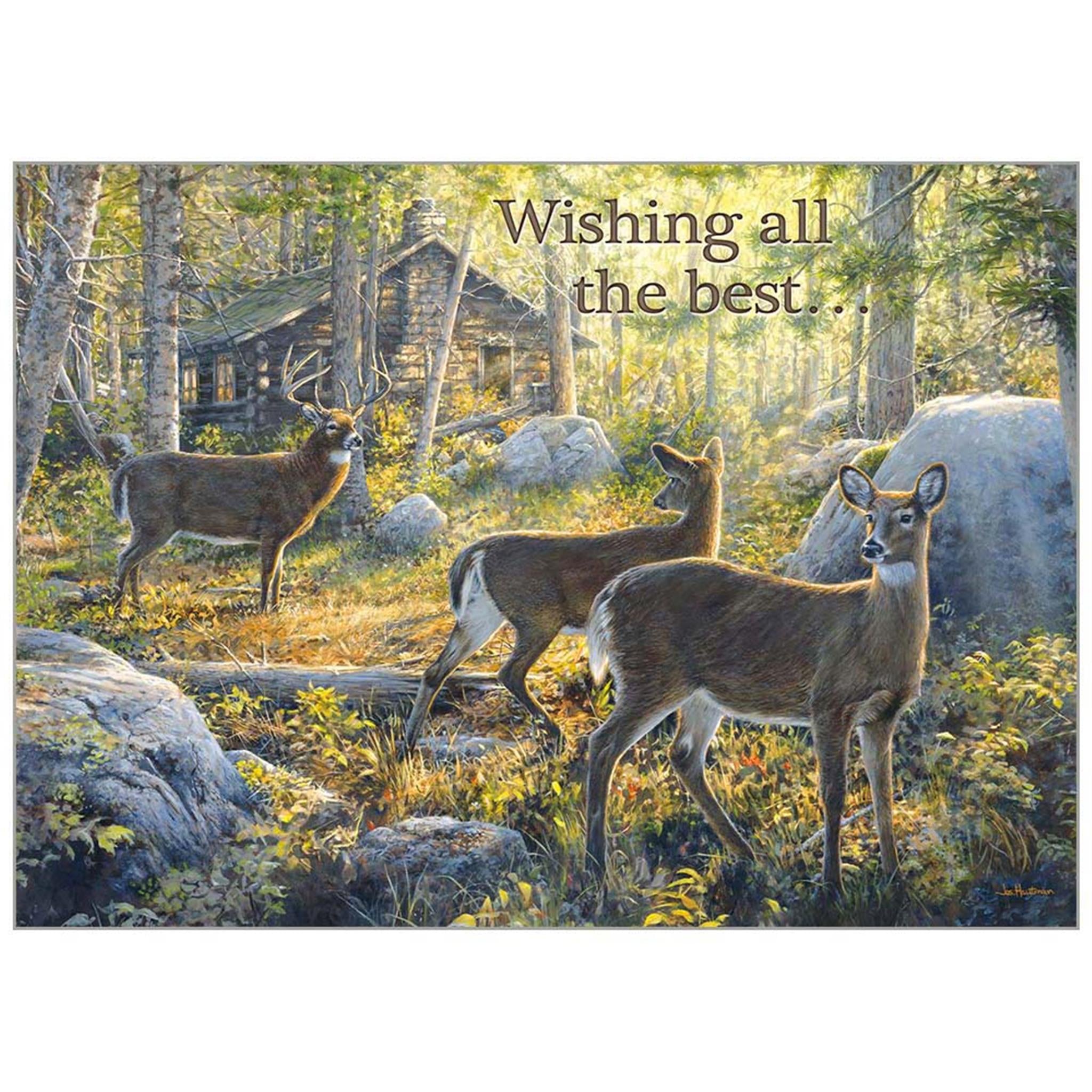Wildlife Special Edition Wall 2025 Calendar
