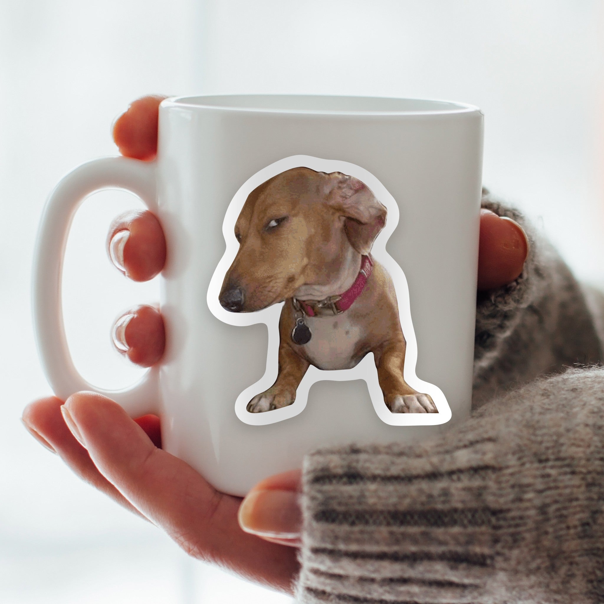 Side Eye Dog Vinyl Sticker