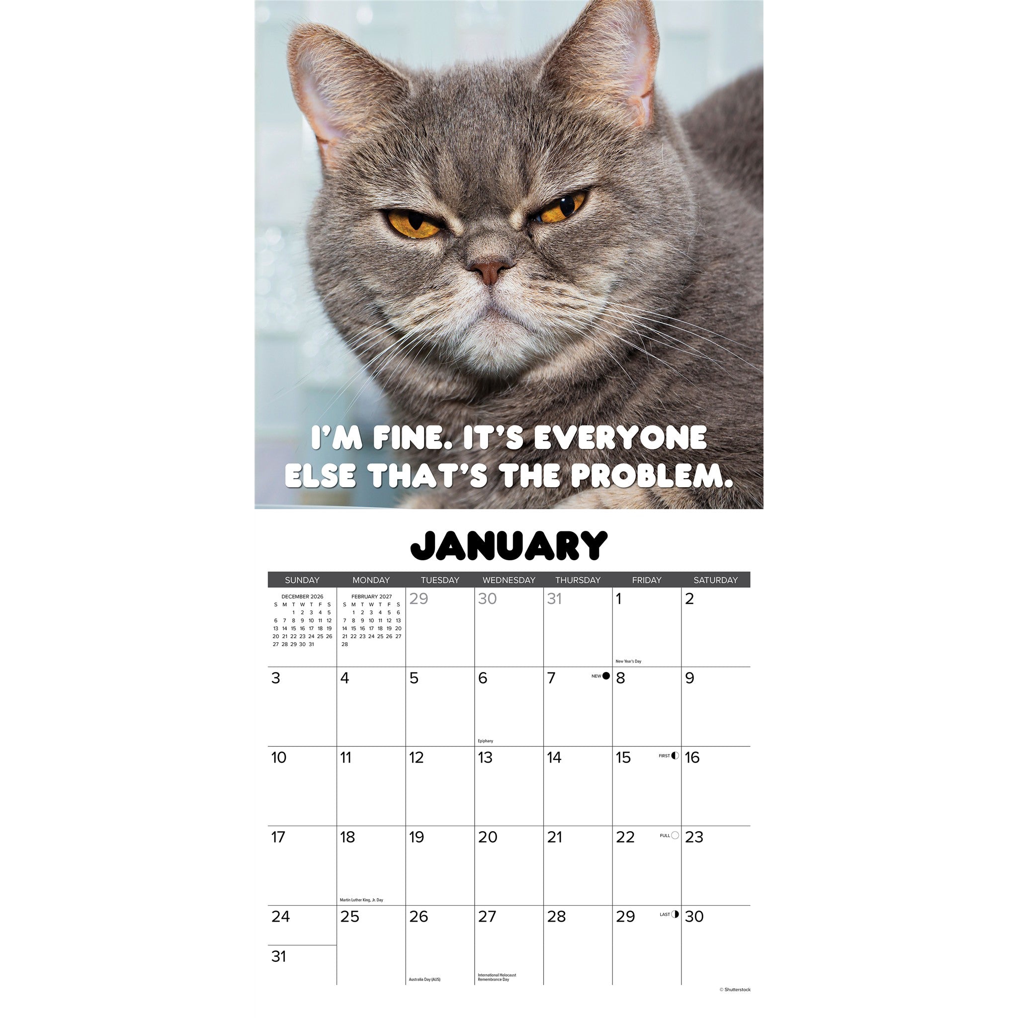 Crabby Cats 2027 Wall Calendar