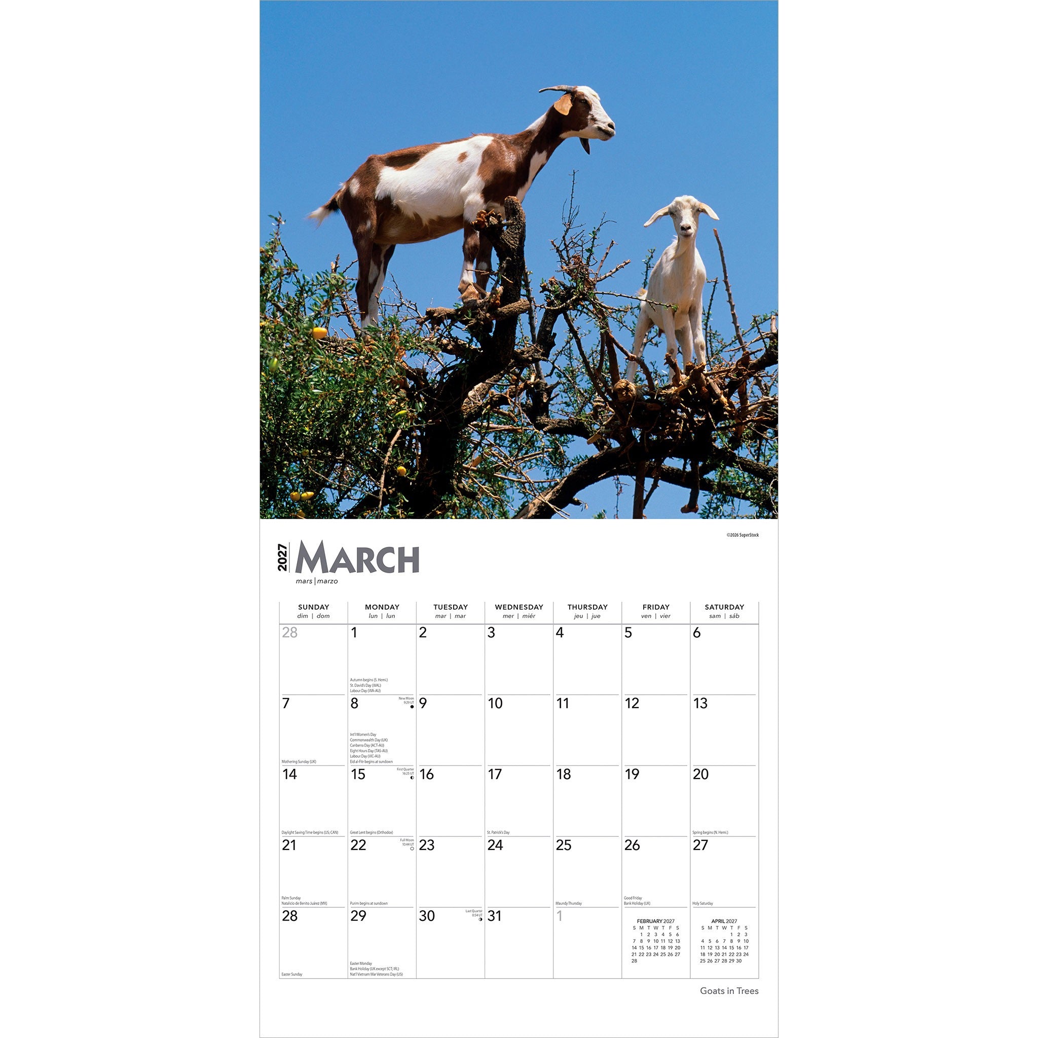 Goats in Trees 2027 Wall Calendar