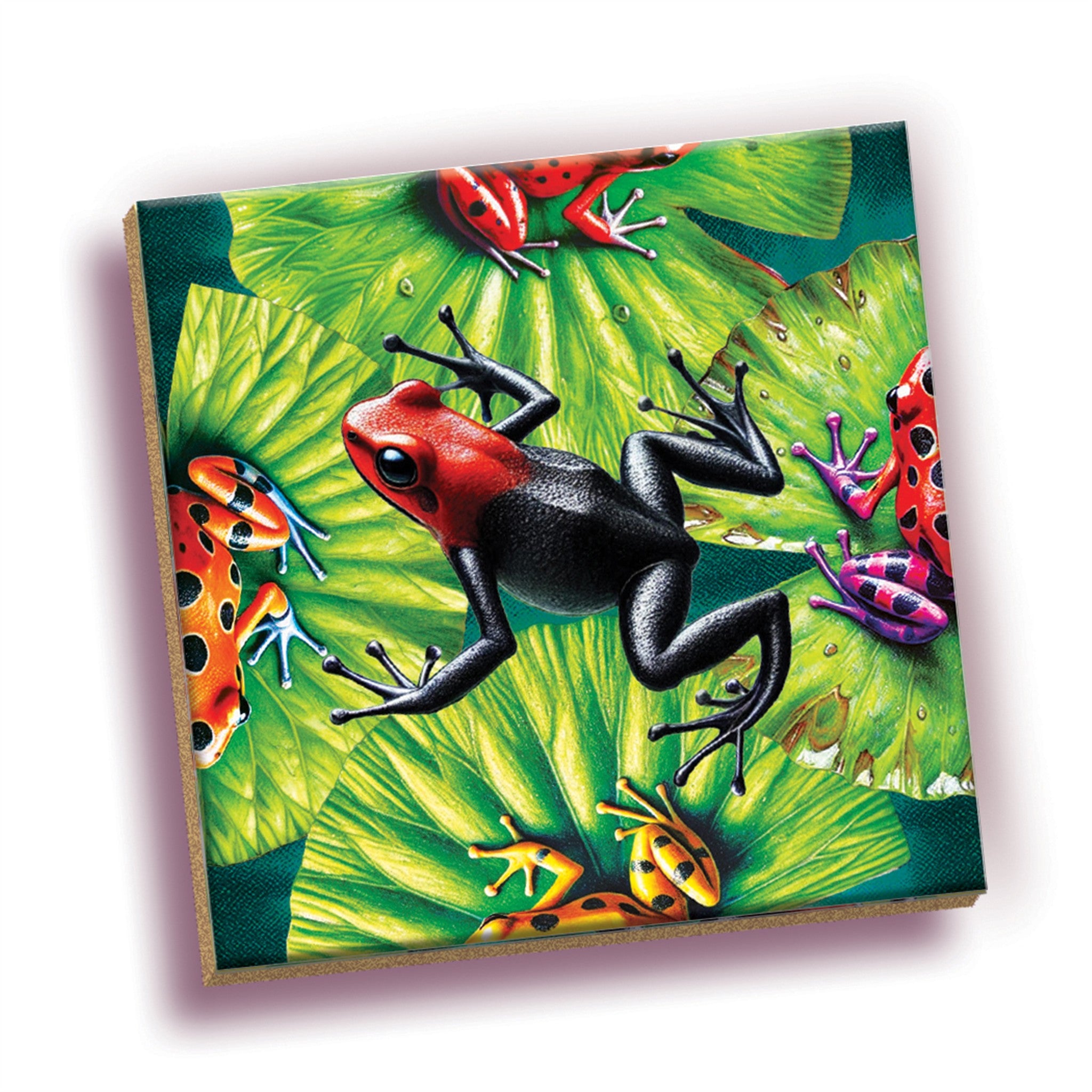 Frogs Magic Square 25 Piece Puzzle - Online Only