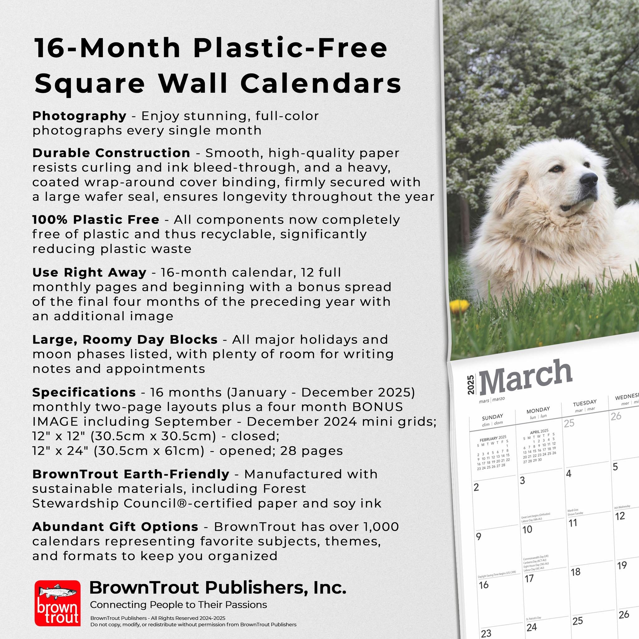 Great Pyrenees Wall 2025 Calendar