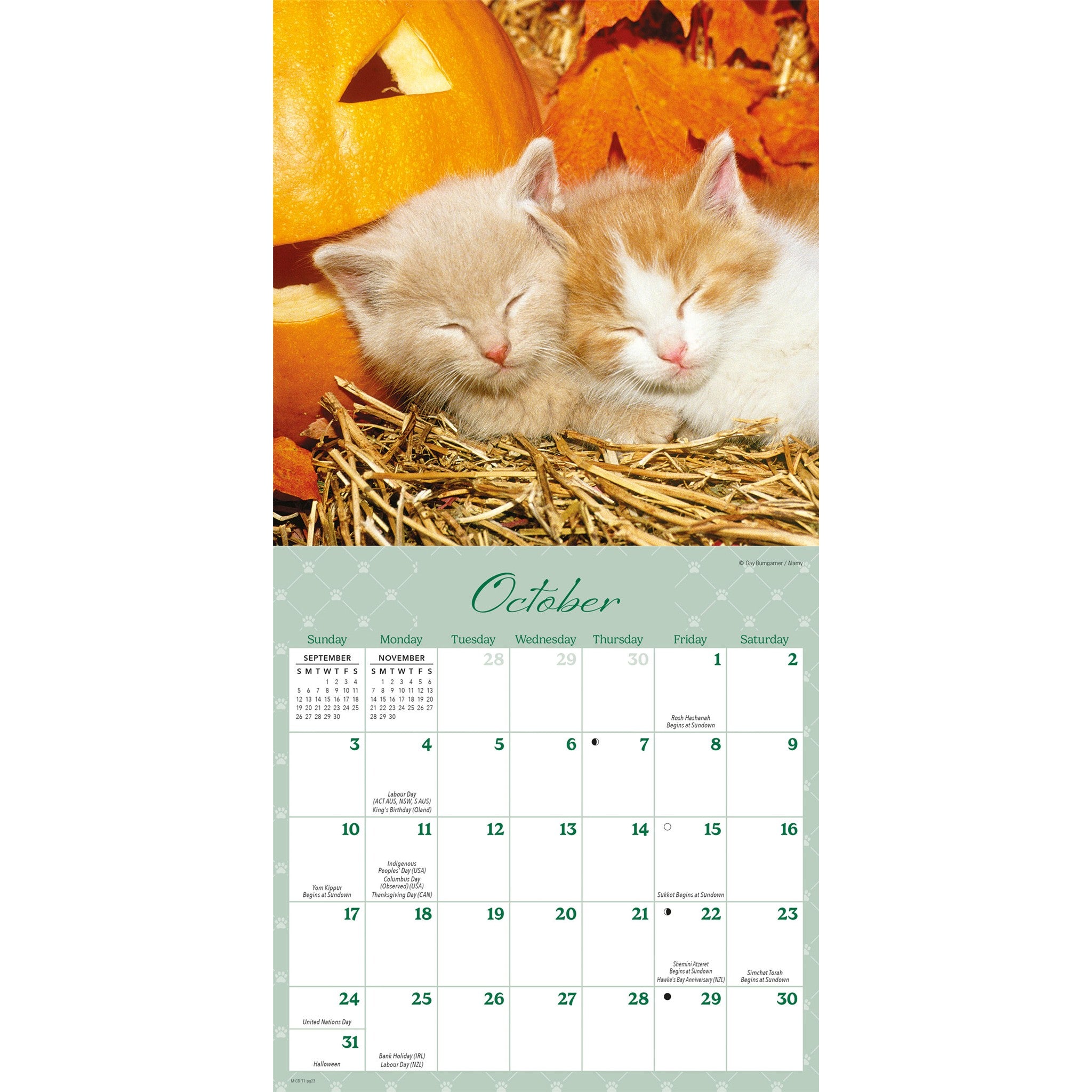 Naptime 2027 Mini Calendar