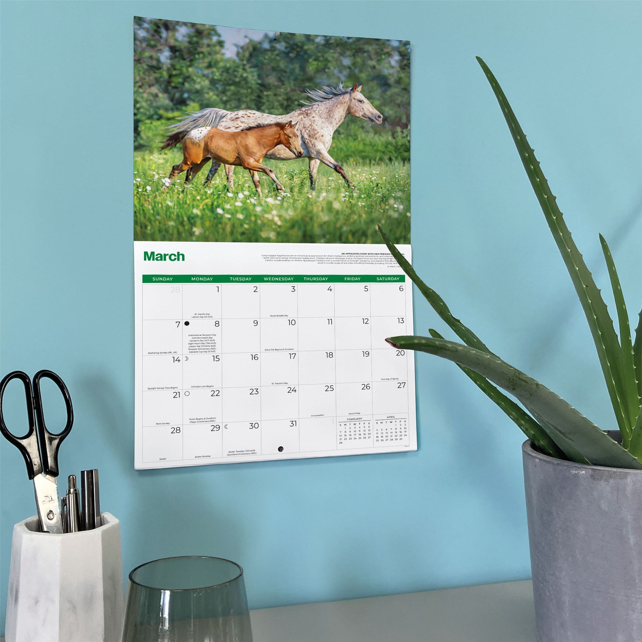 Horses 2027 Wall Calendar