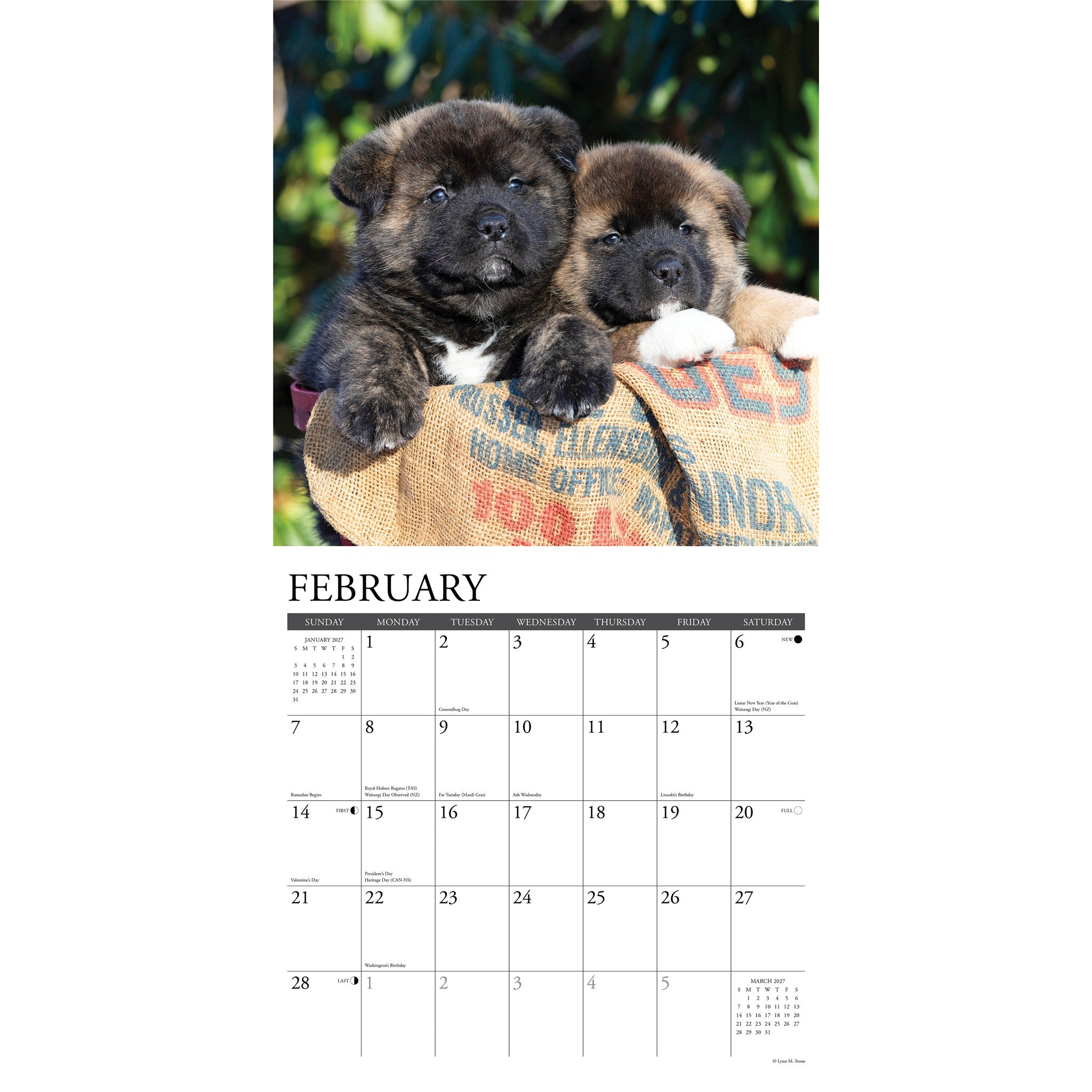 Akitas 2027 Wall Calendar - Online Only