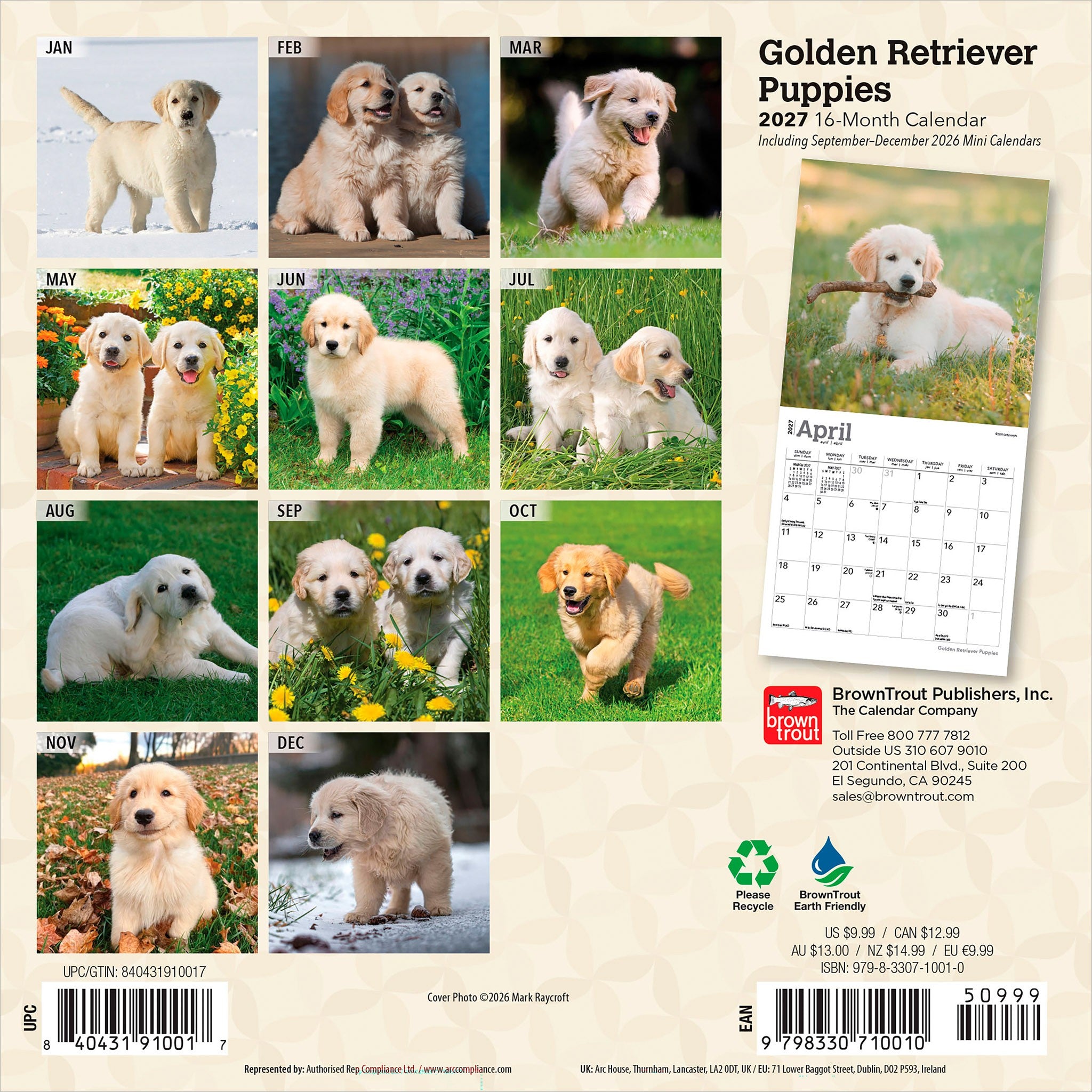 Golden Retriever Puppies 2027 Mini Calendar