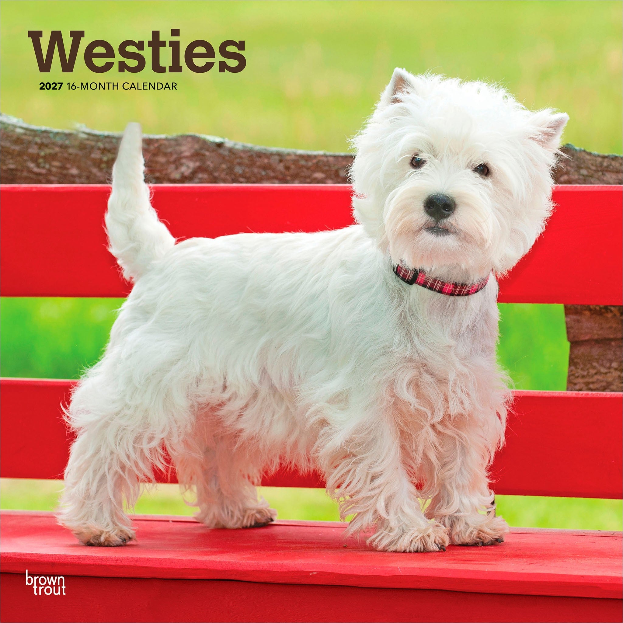 West Highland White Terriers 2027 Wall Calendar