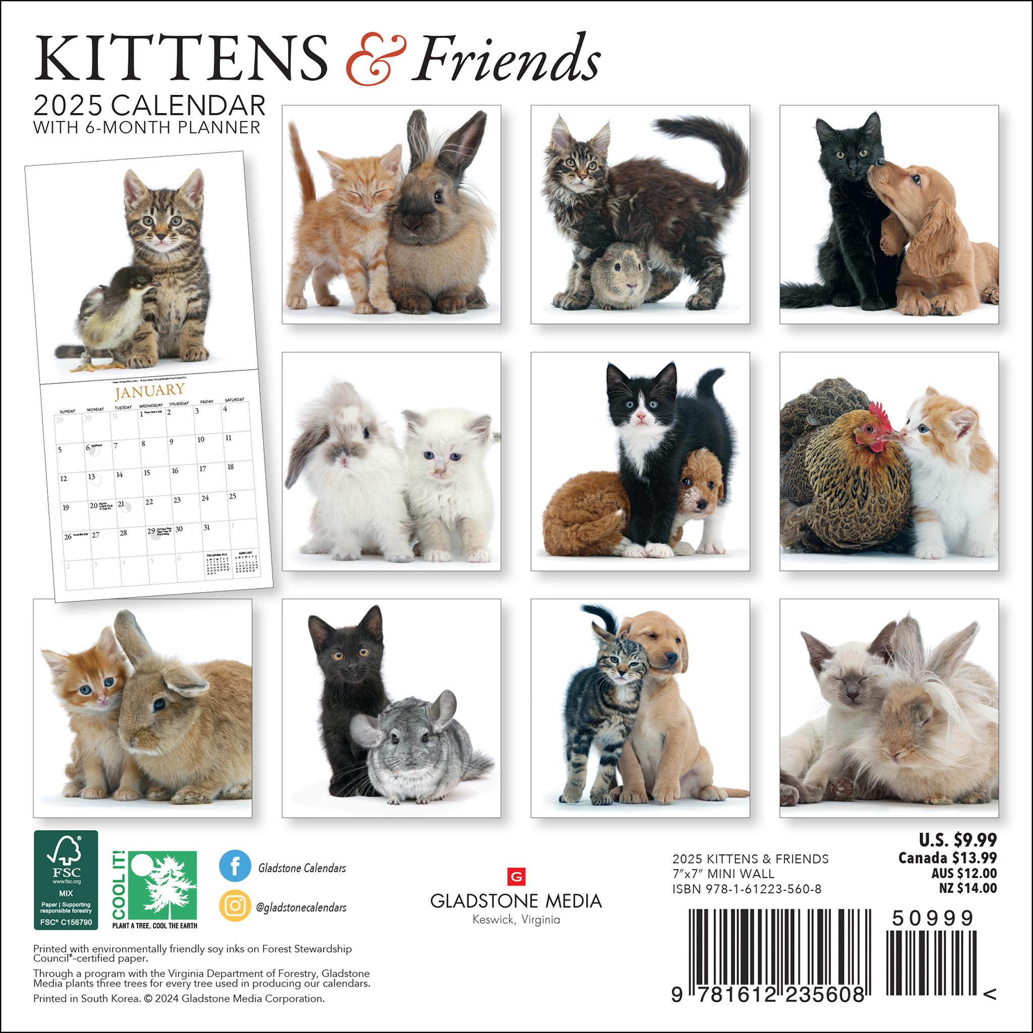 Kittens And Friends Mini 2025 Calendar