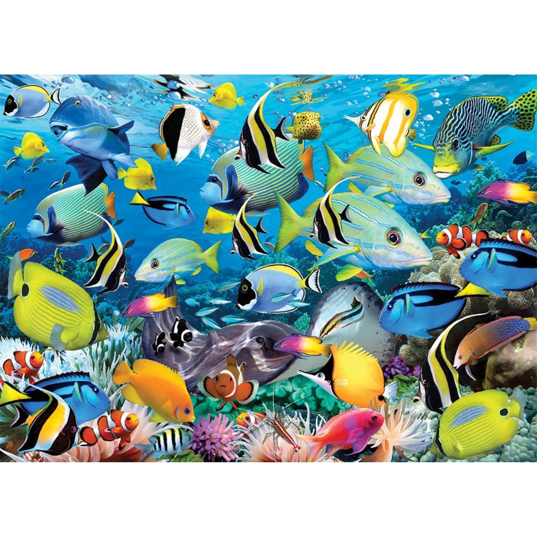 Ocean Colors 1000 Piece Puzzle