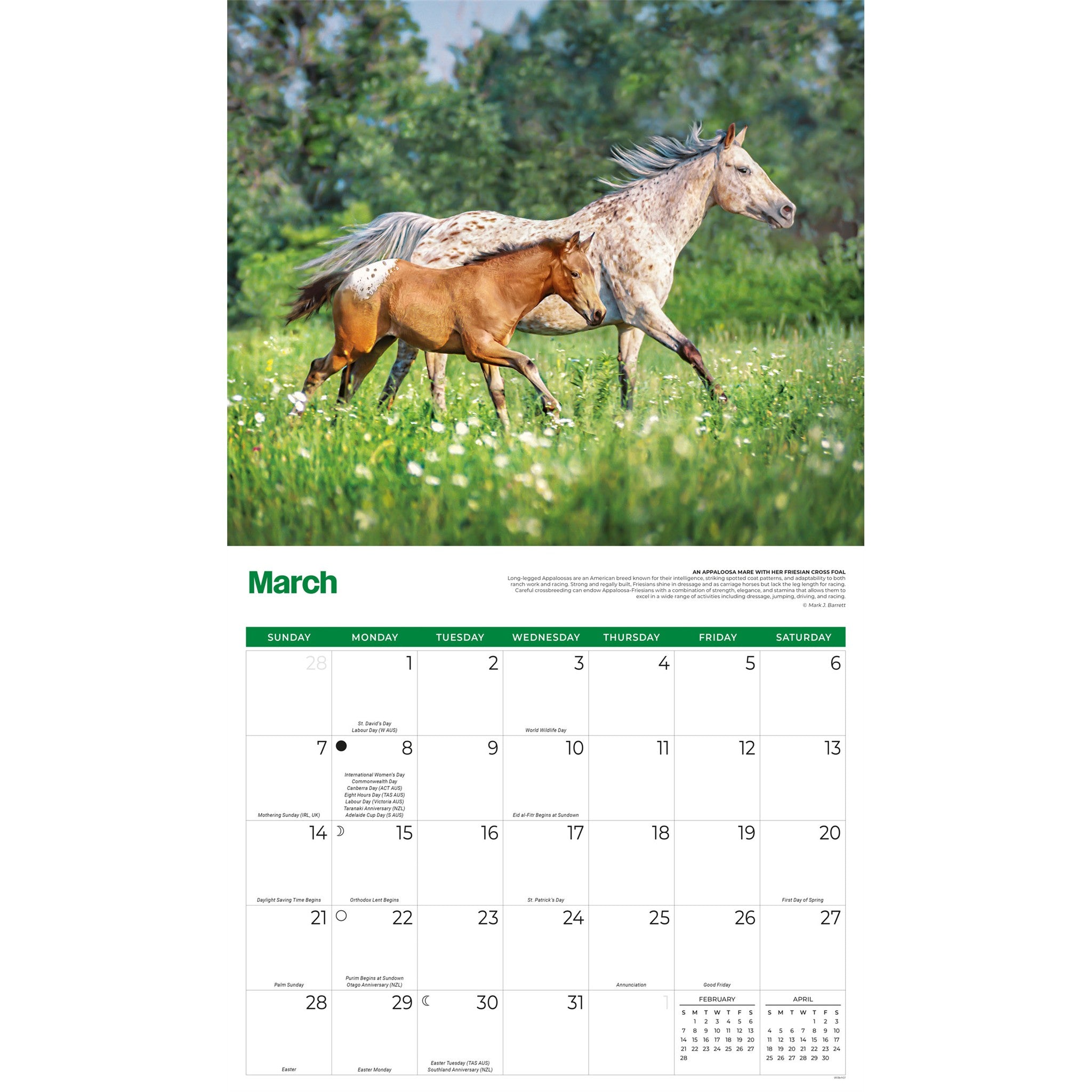 Horses 2027 Wall Calendar