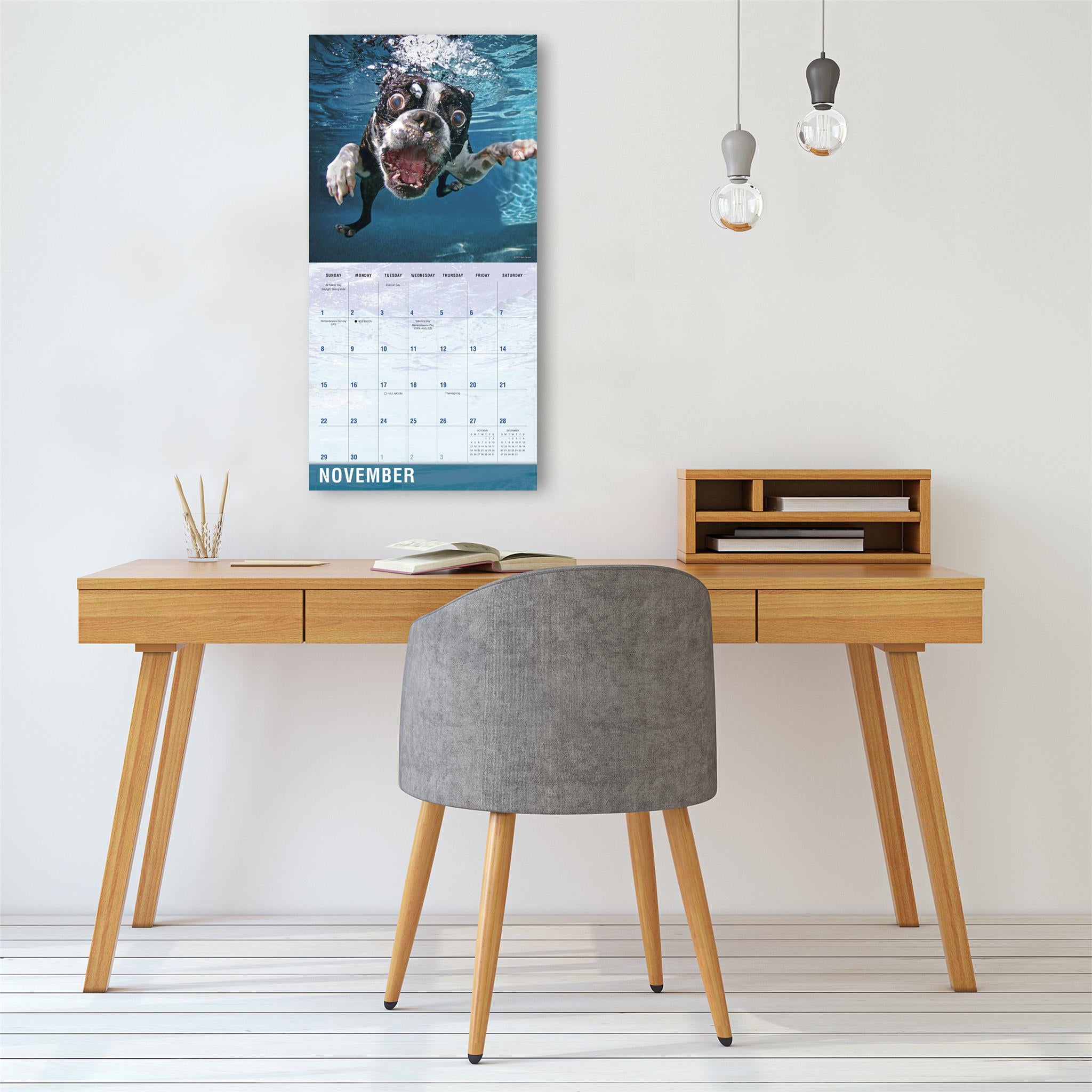 Underwater Dogs 2026 Wall Calendar
