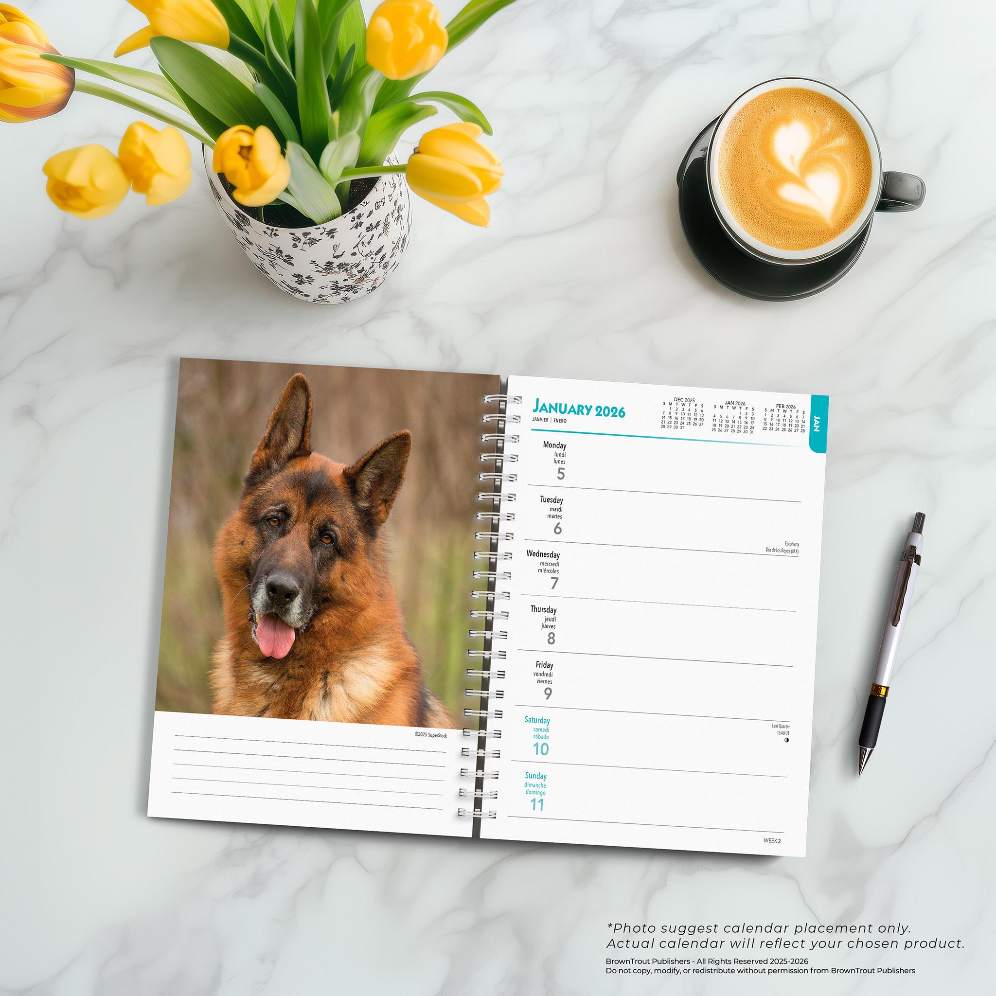 German Shepherds 2026 Engagement Calendar - Online Only
