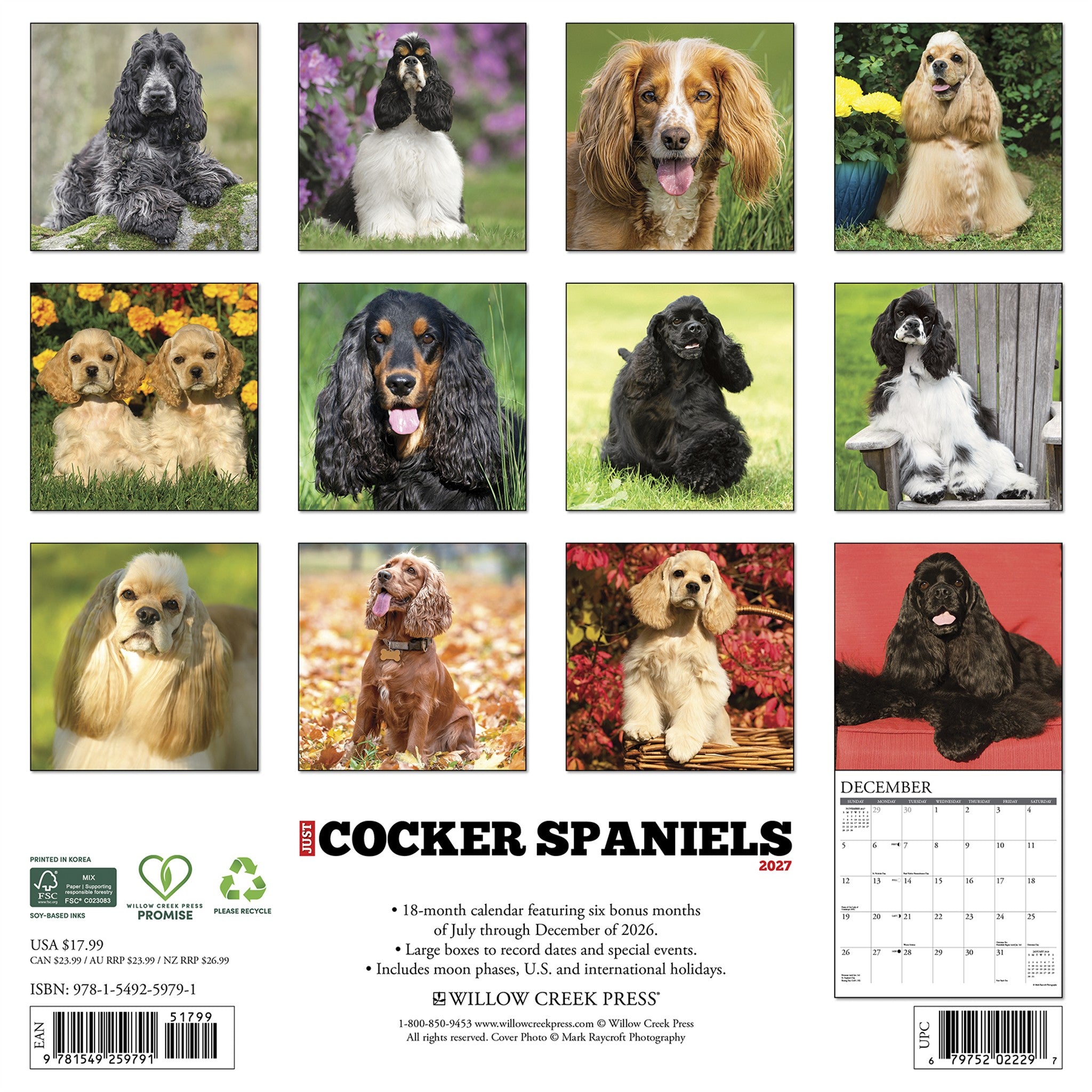Cocker Spaniels 2027 Wall Calendar