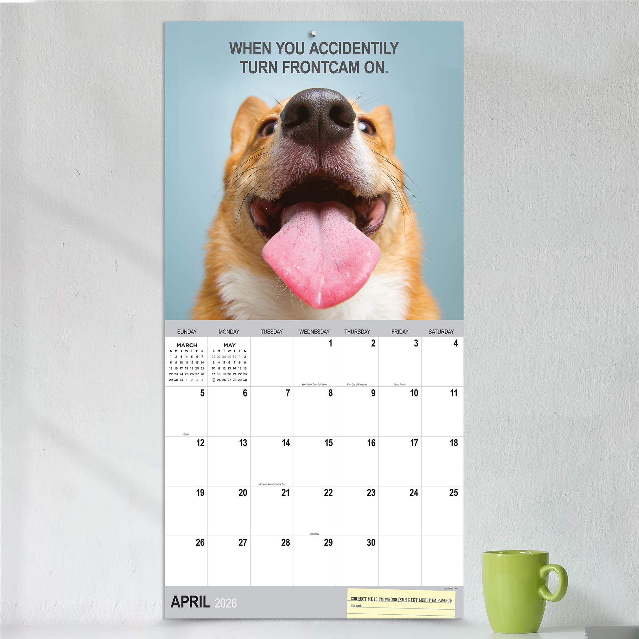 Desk Dogs 2026 Wall Calendar