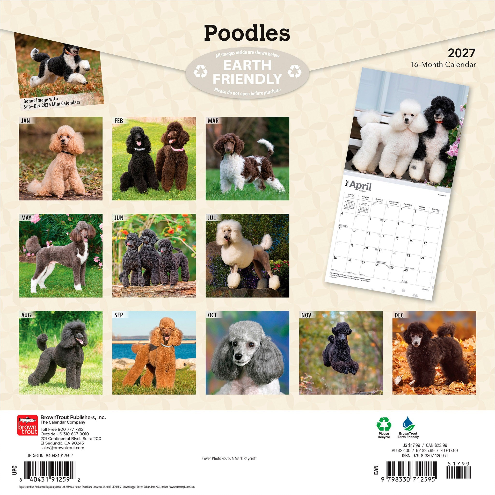 Poodles 2027 Wall Calendar