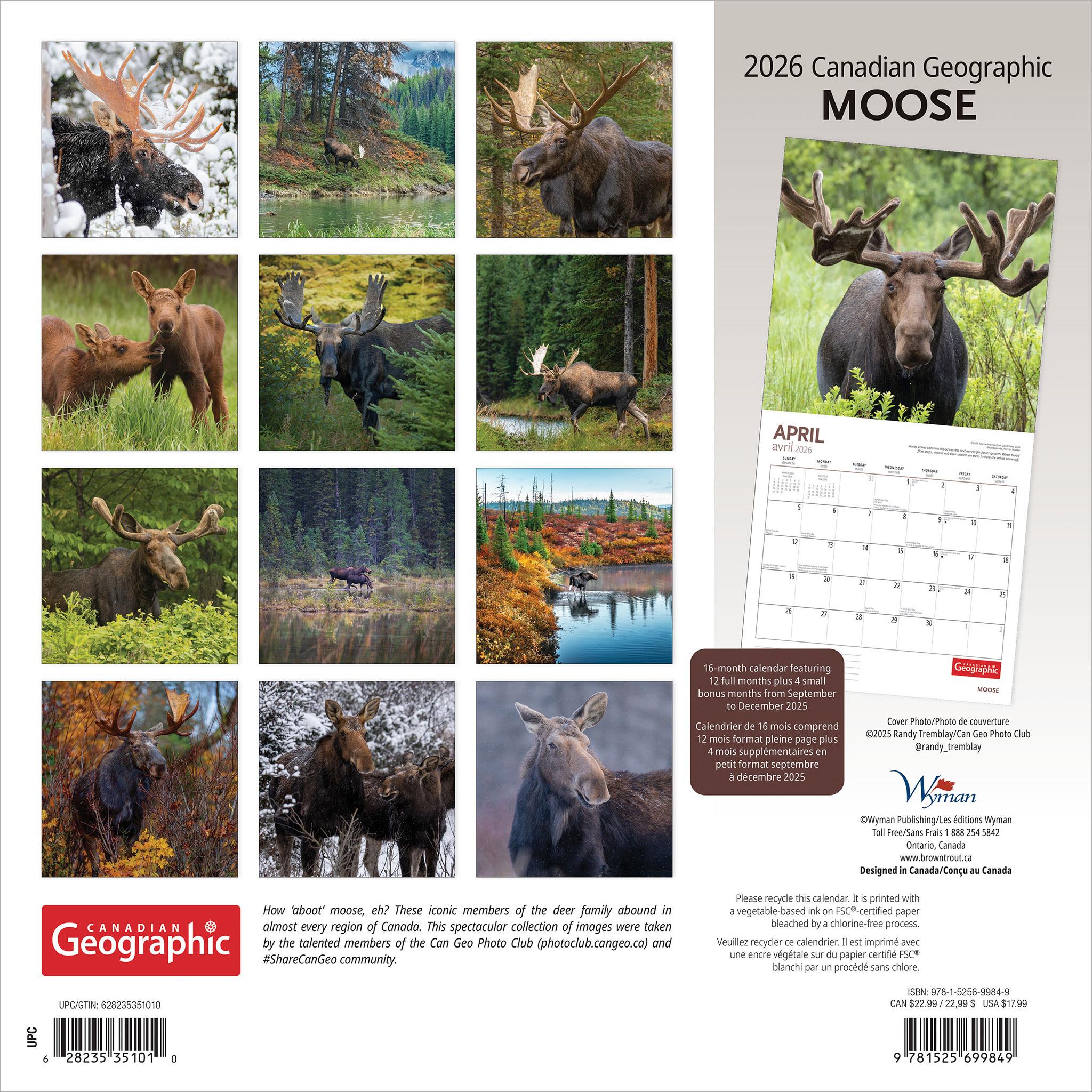 Canadian Geographic Moose 2026 Wall Calendar