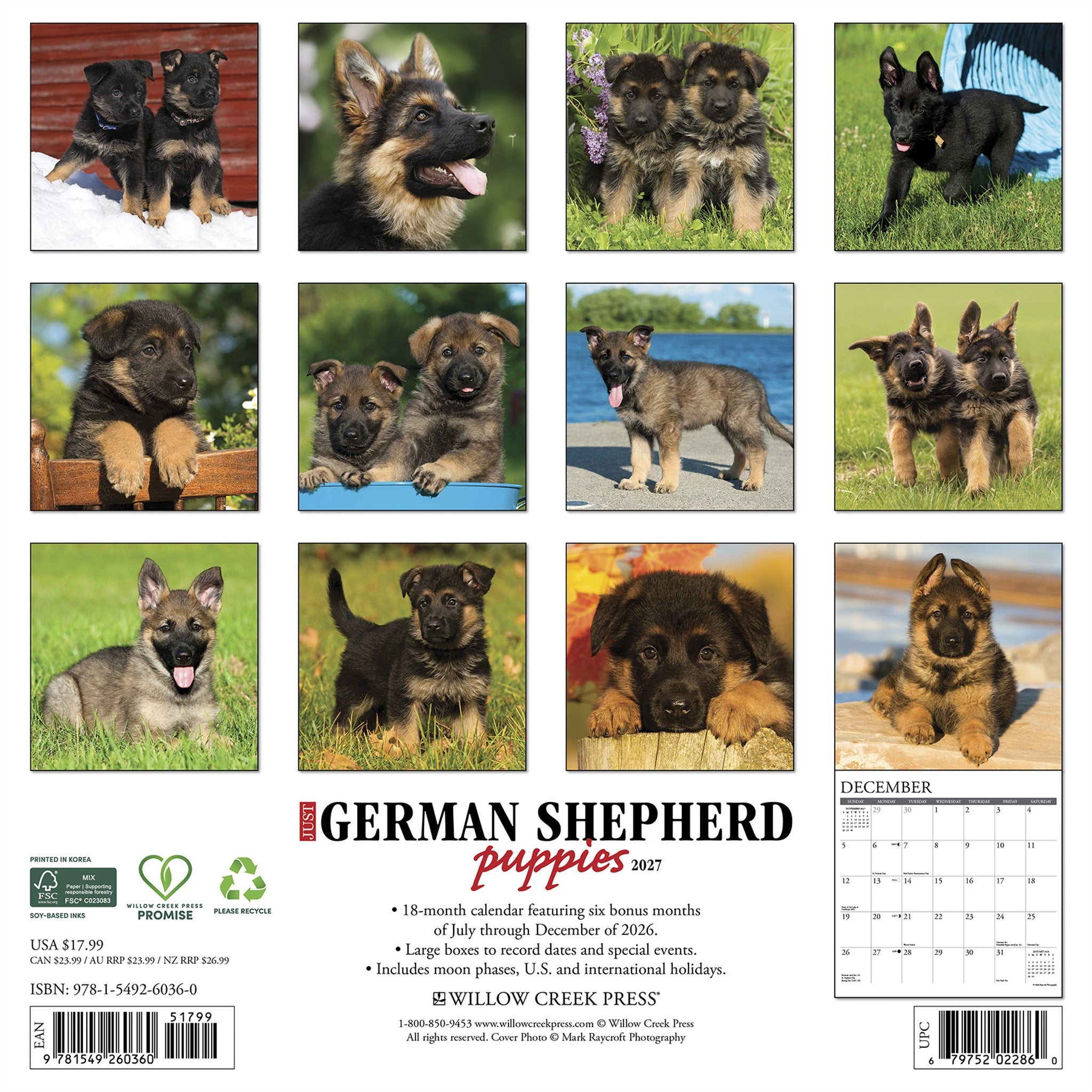 German Shepherd Puppies 2027 Wall Calendar