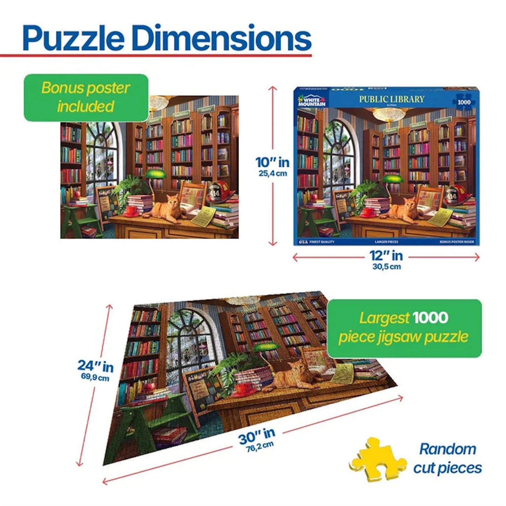 Public Library 1000 Piece Puzzle