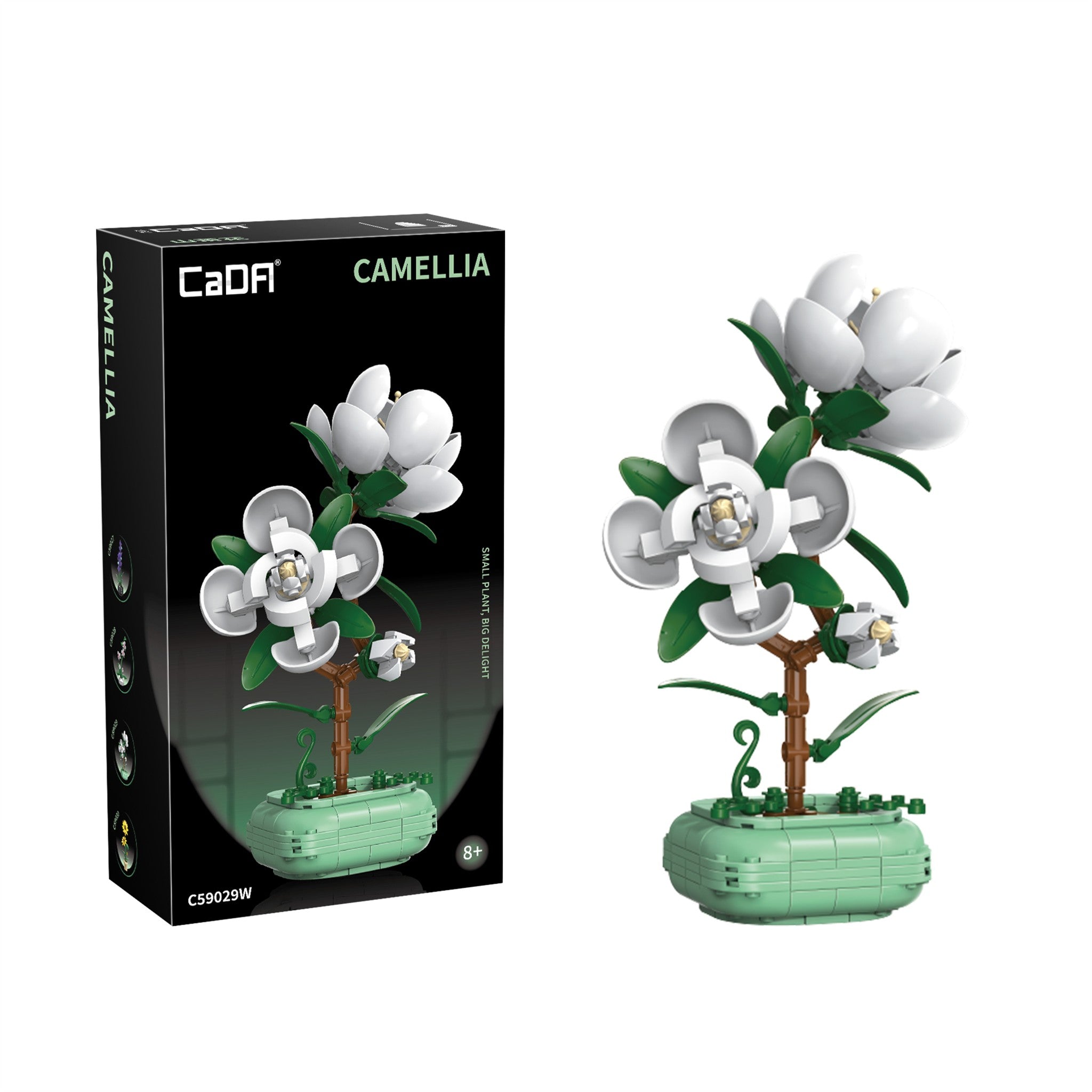 Camellia 301 Pieces