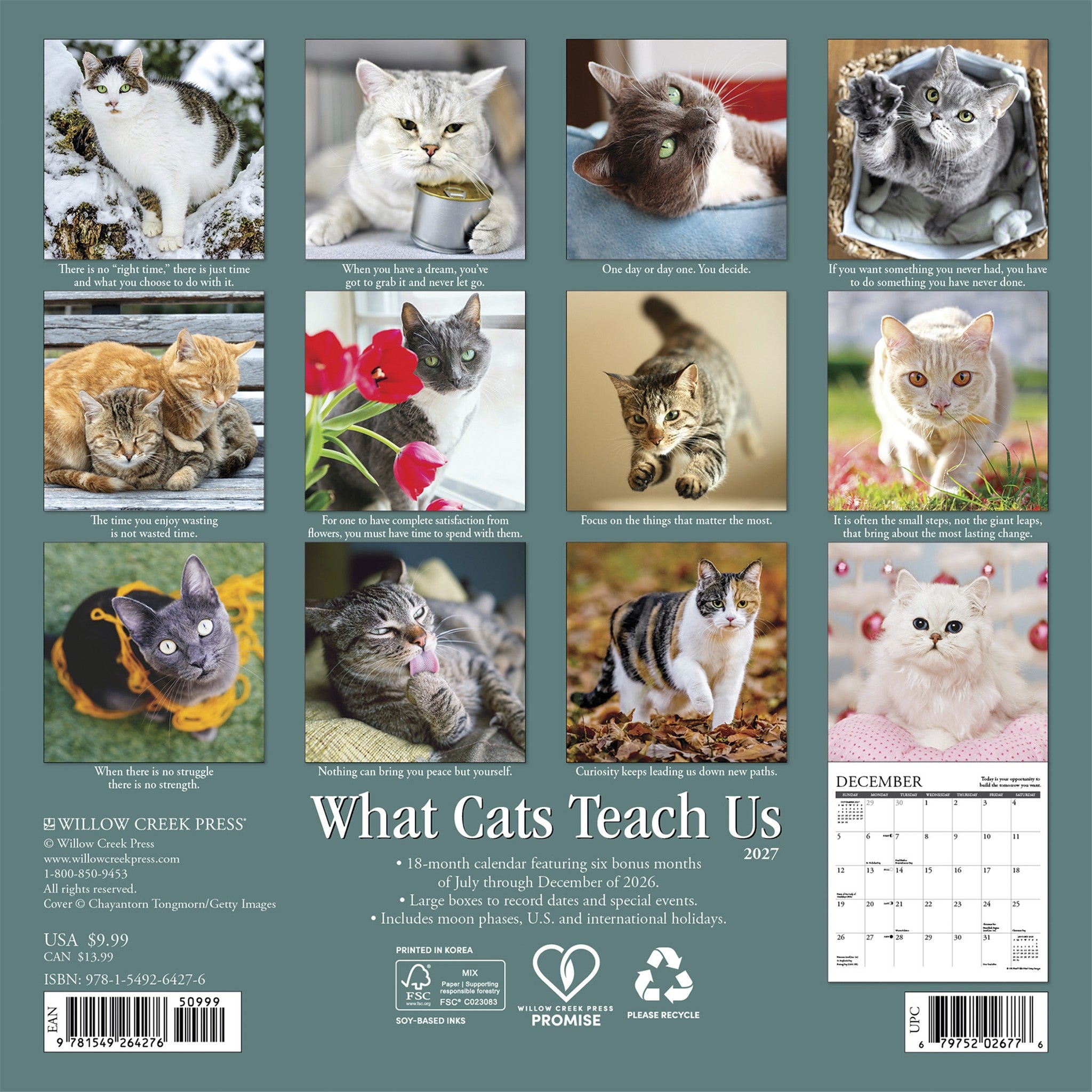What Cats Teach Us 2027 Mini Calendar