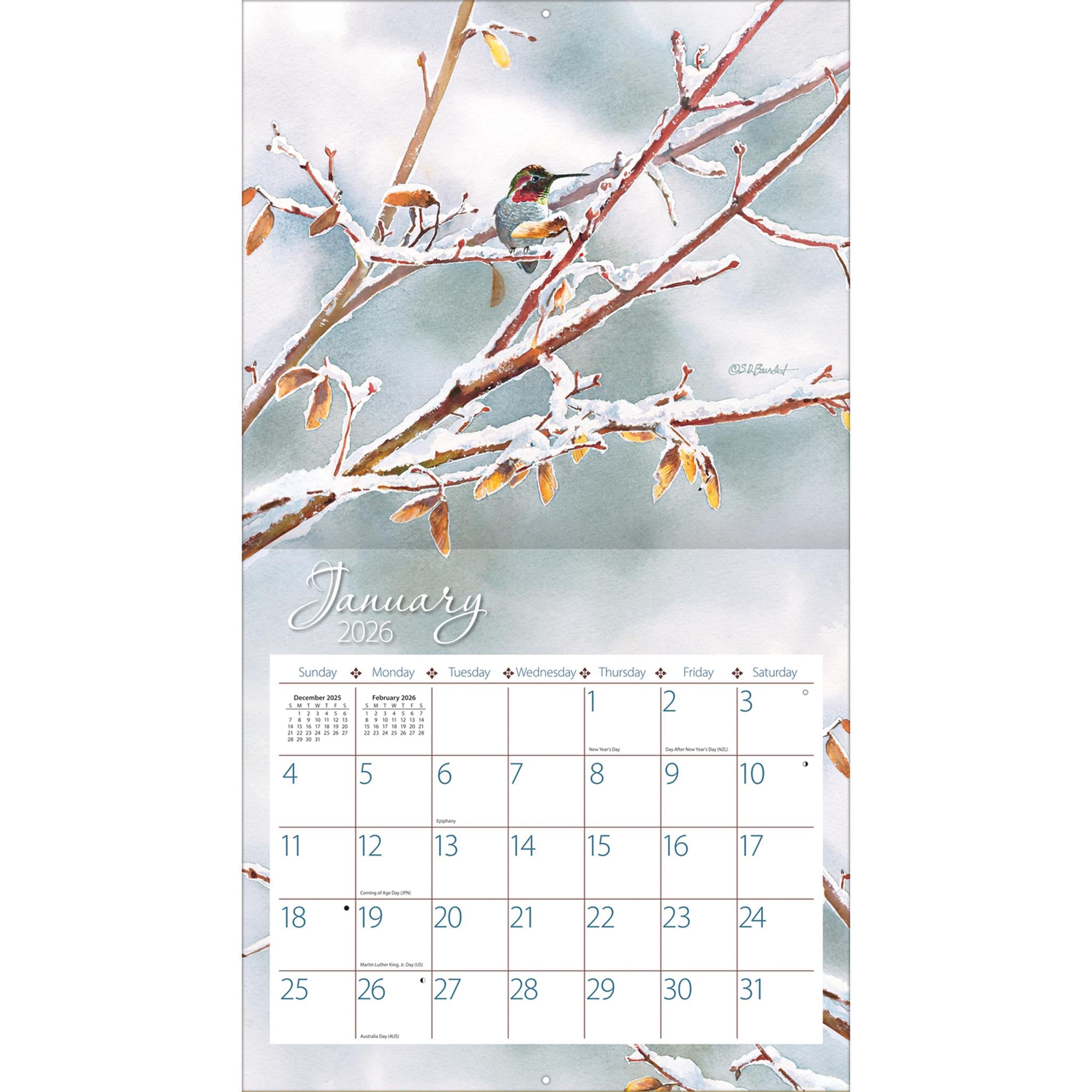 Hummingbirds 2026 Deluxe Wall Calendar - Online Only