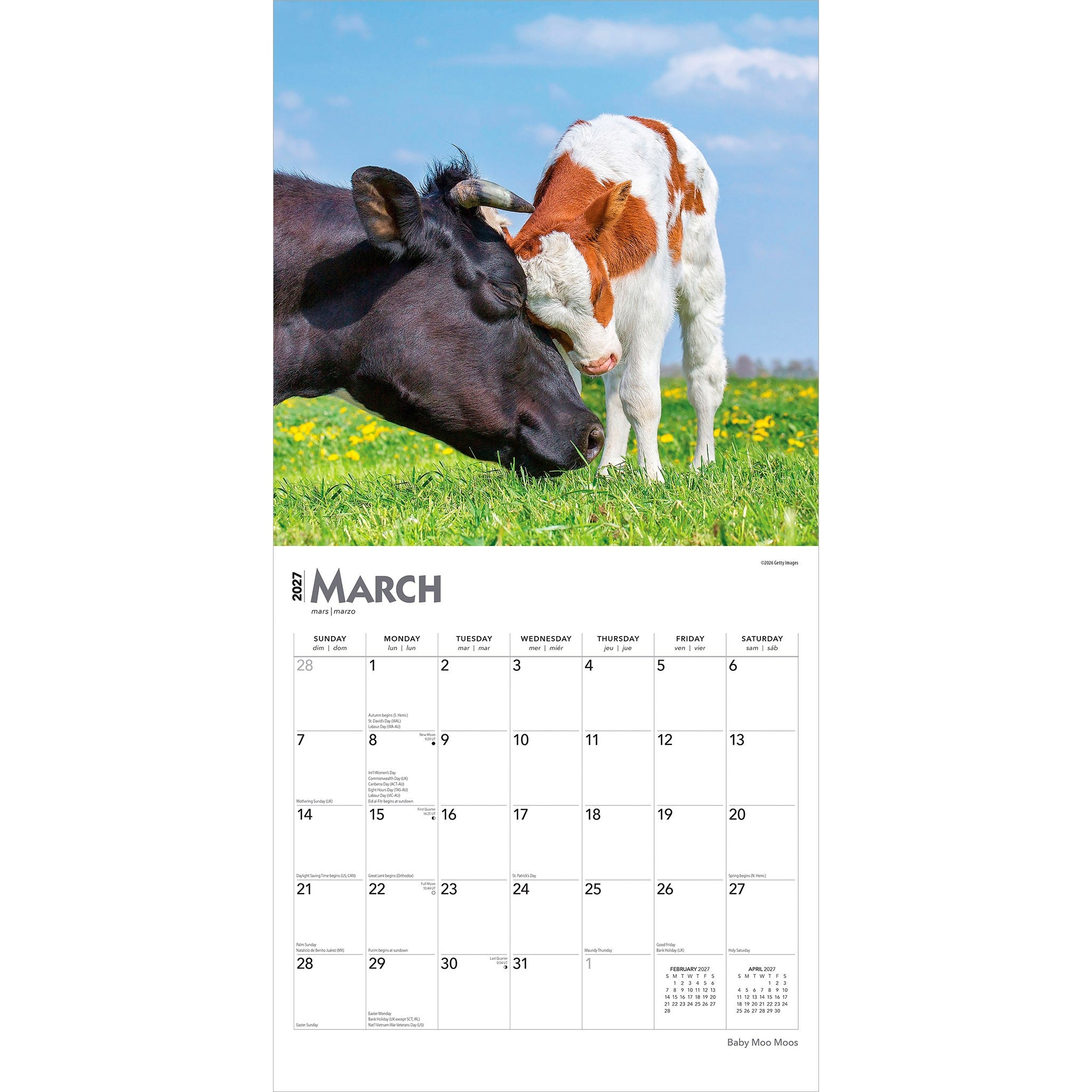Baby Moo Moos 2027 Wall Calendar - Online Only