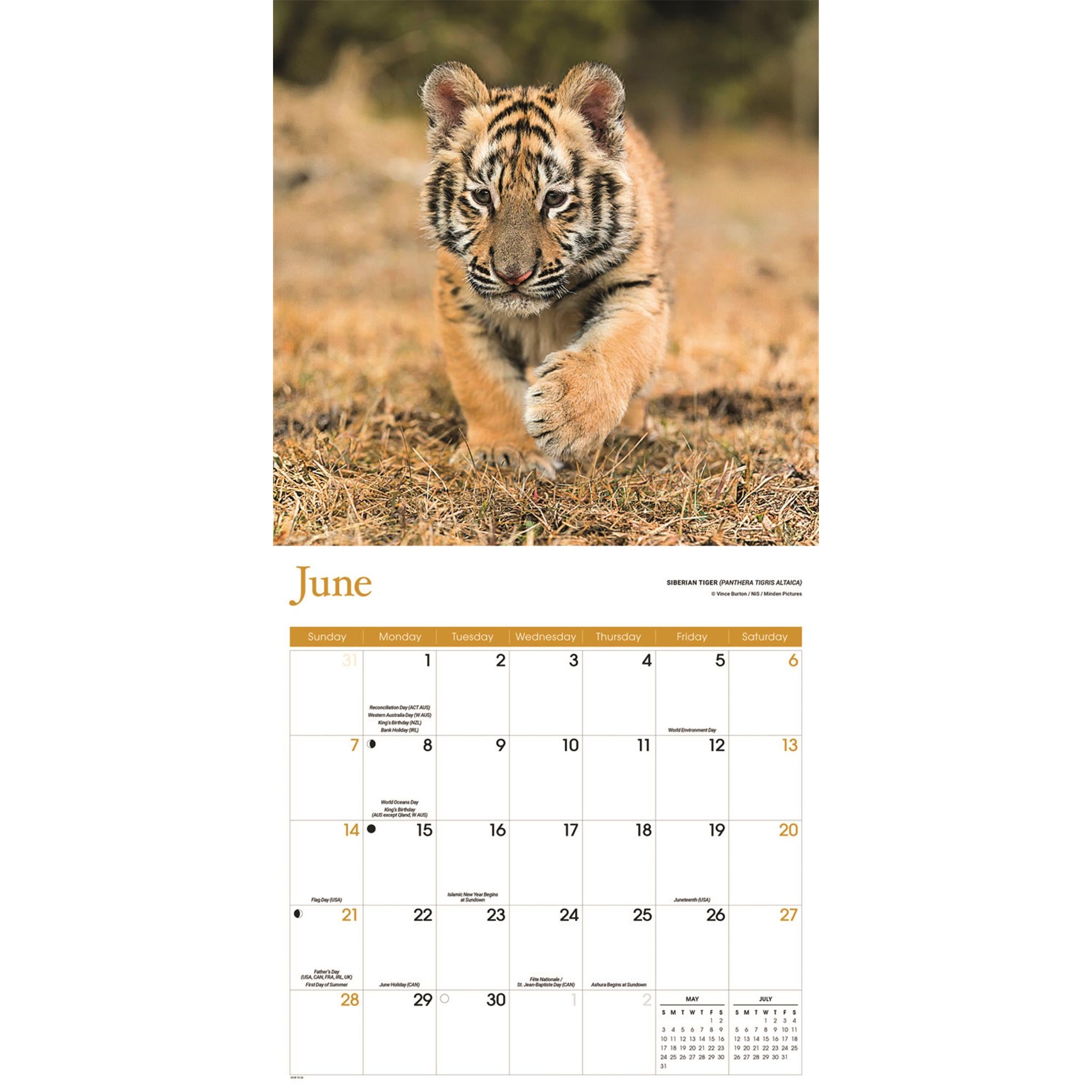 Baby Animals 2026 Wall Calendar