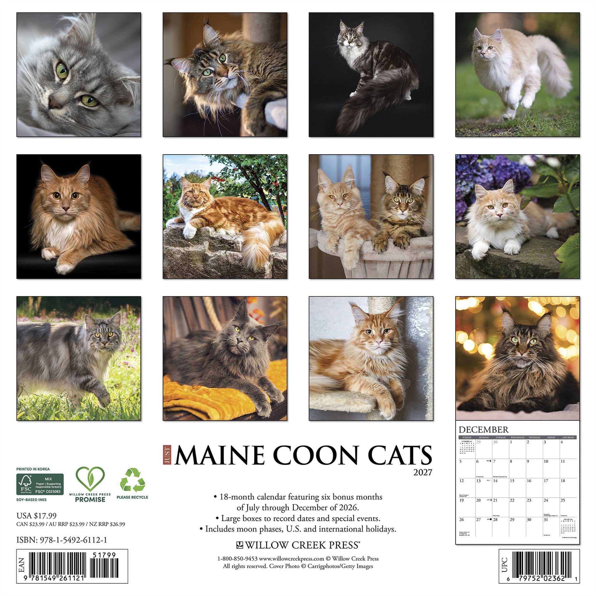 Maine Coon Cats 2027 Wall Calendar