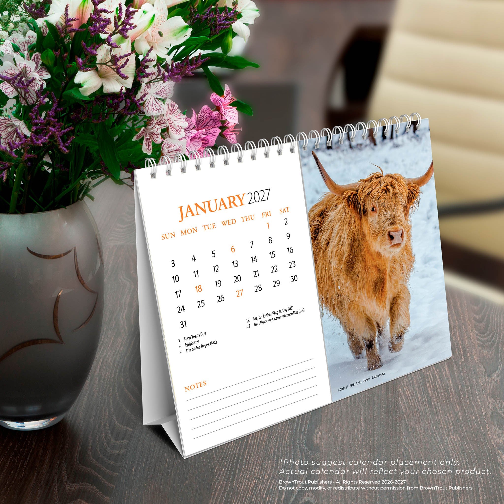 Highland Cows 2027 Easel Calendar