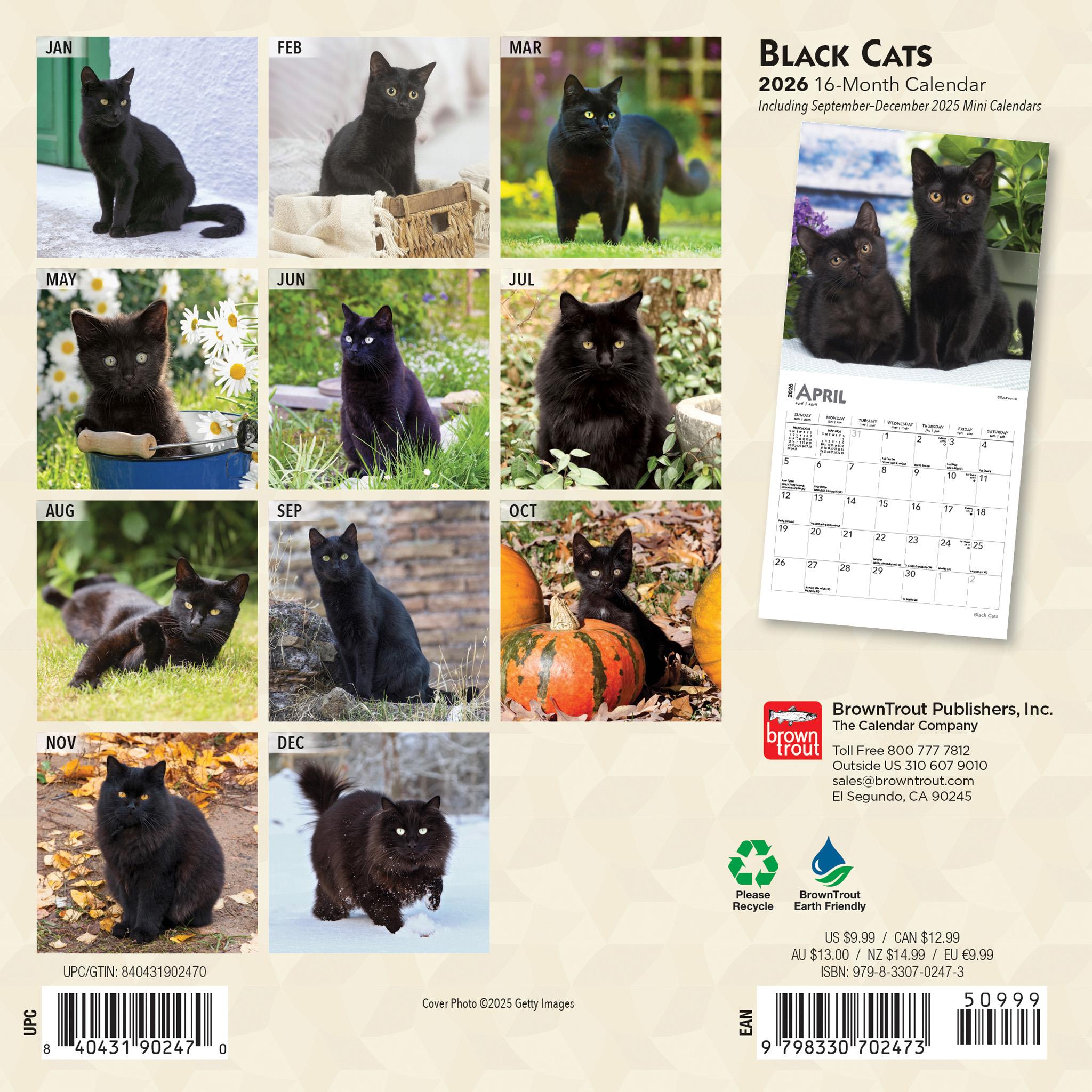 Black Cats 2026 Mini Calendar