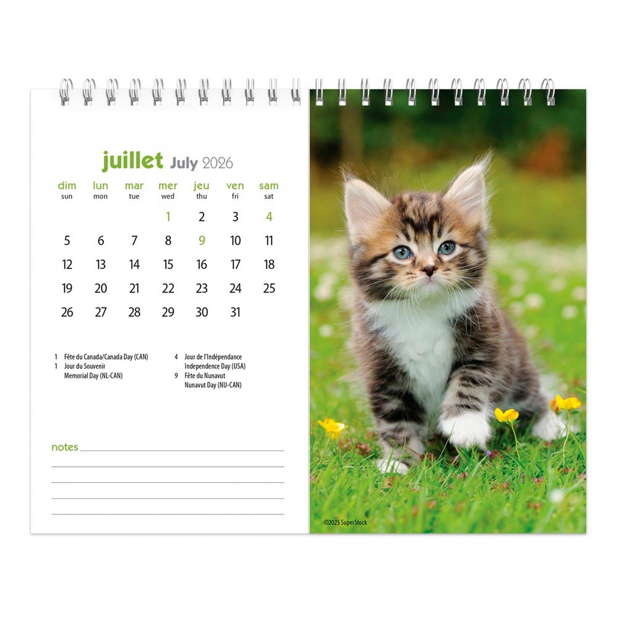 Chatons 2026 Double View Easel Calendar (French)