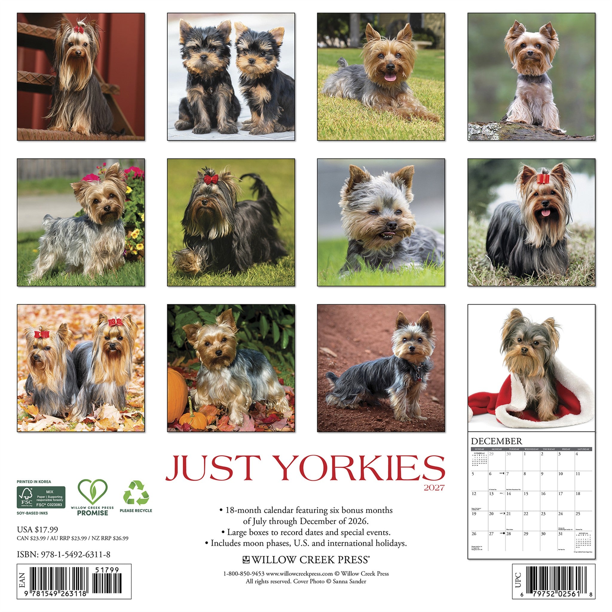 Yorkies 2027 Wall Calendar
